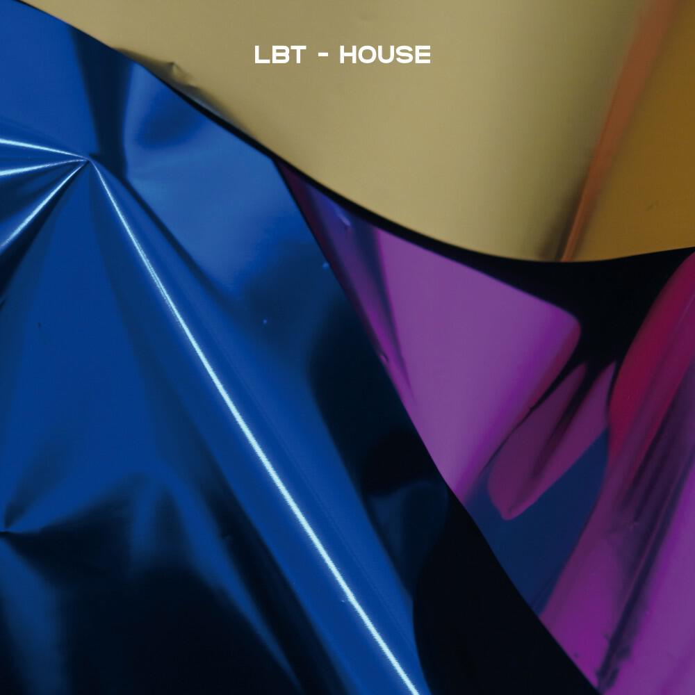 Релиз HOUSE