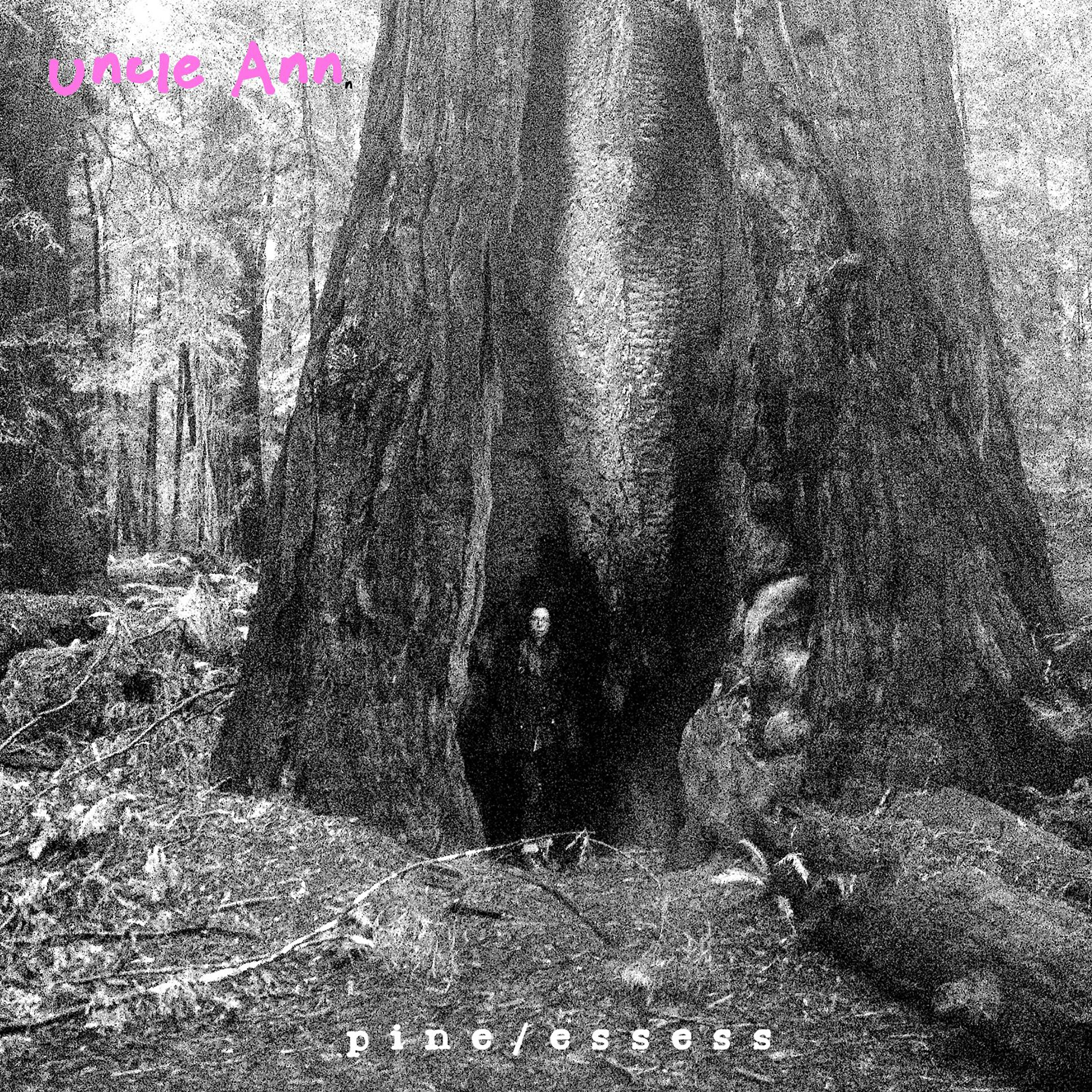 Релиз Pine/Essess