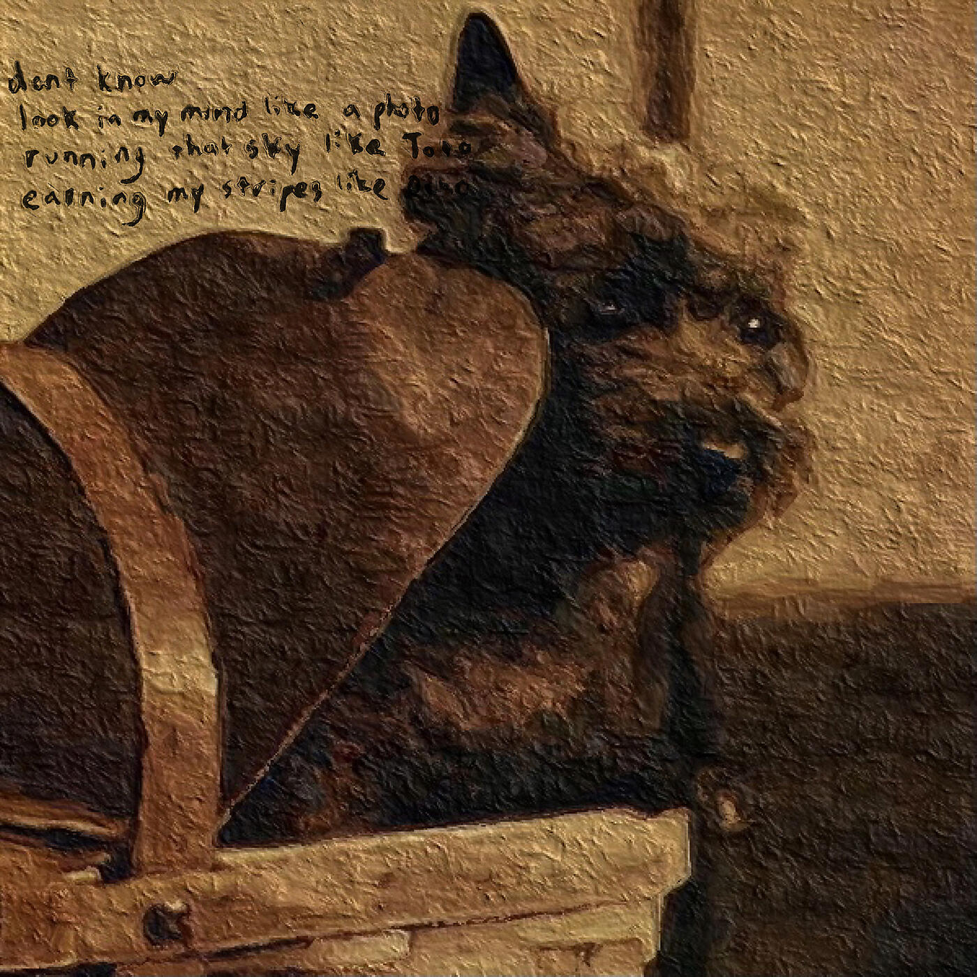 Релиз Toto