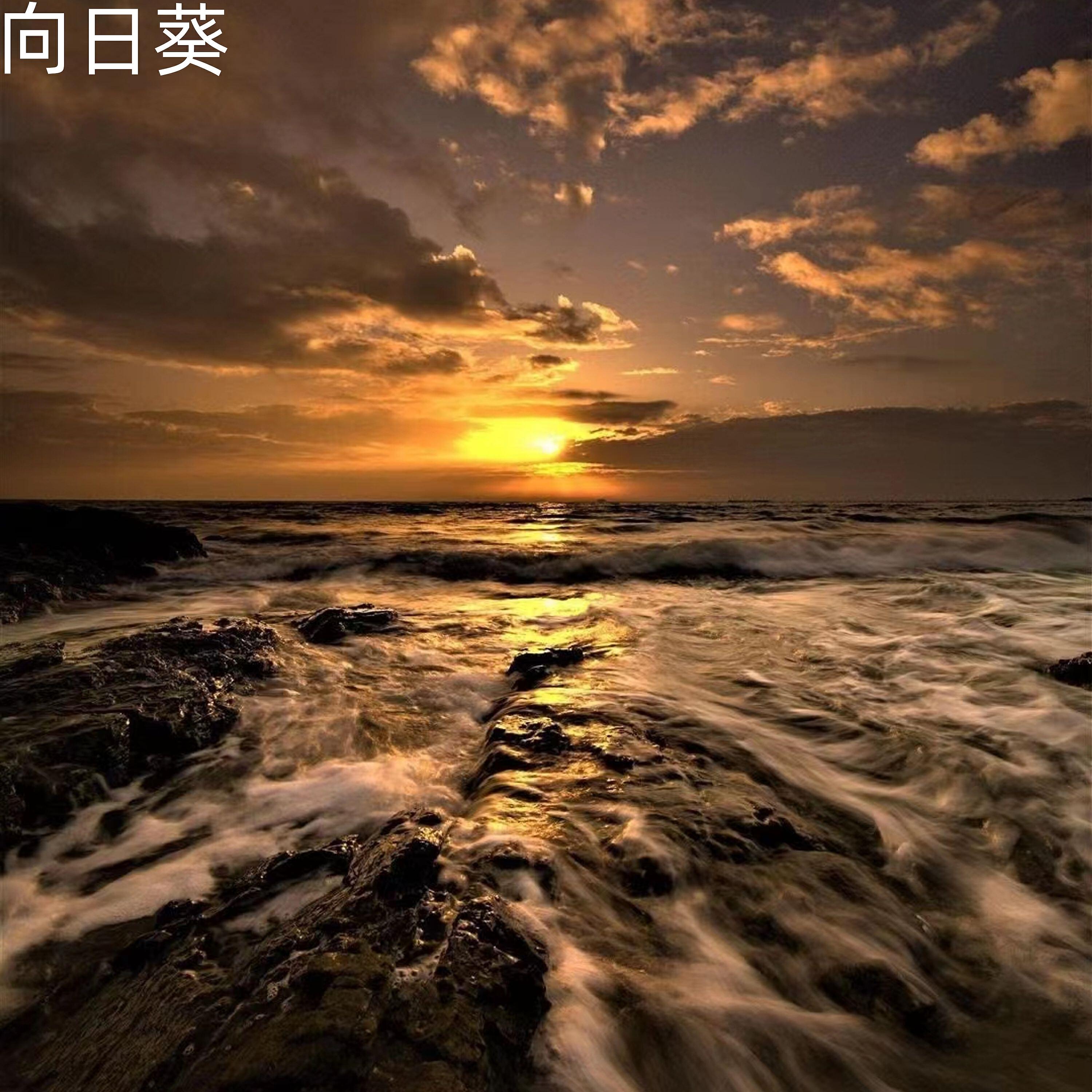 Релиз 向日葵