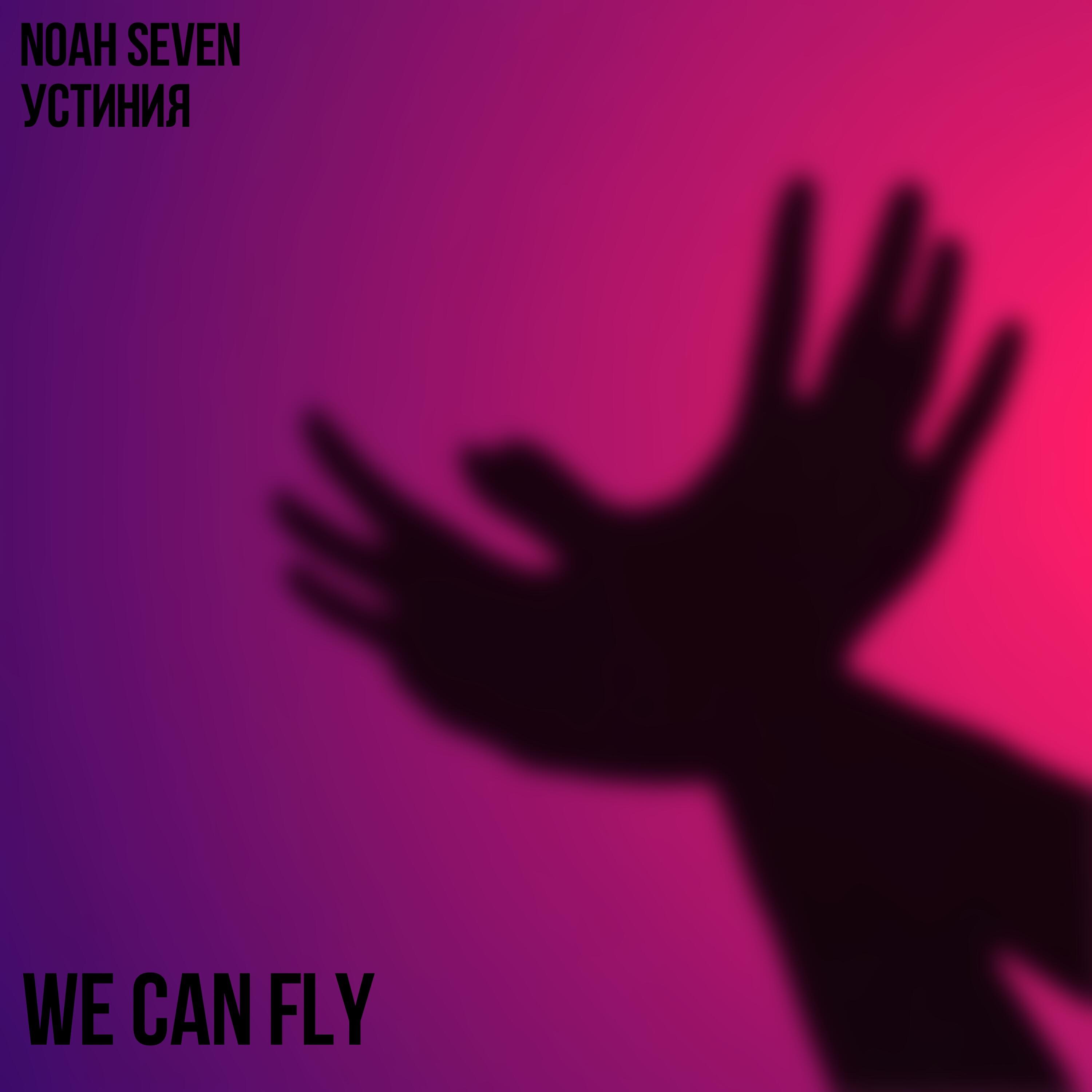 Релиз We can fly