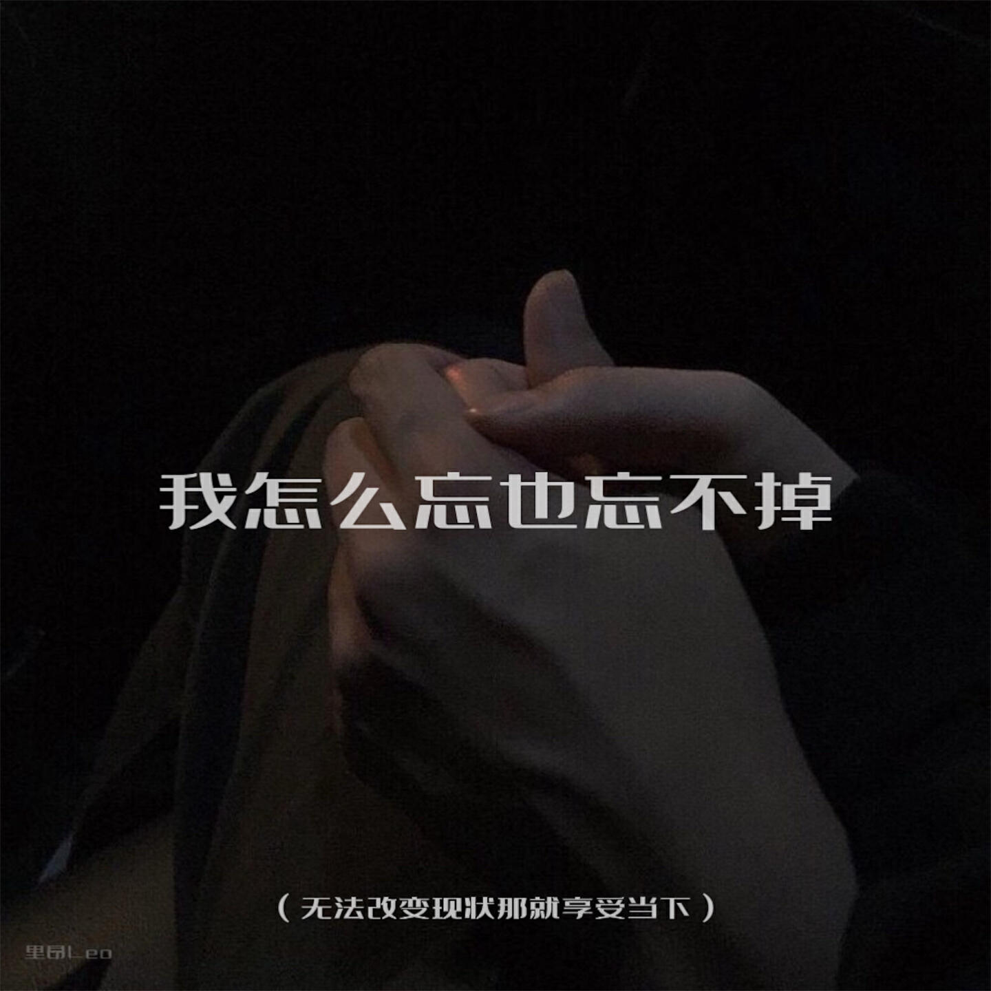 Релиз 我怎么忘也忘不掉