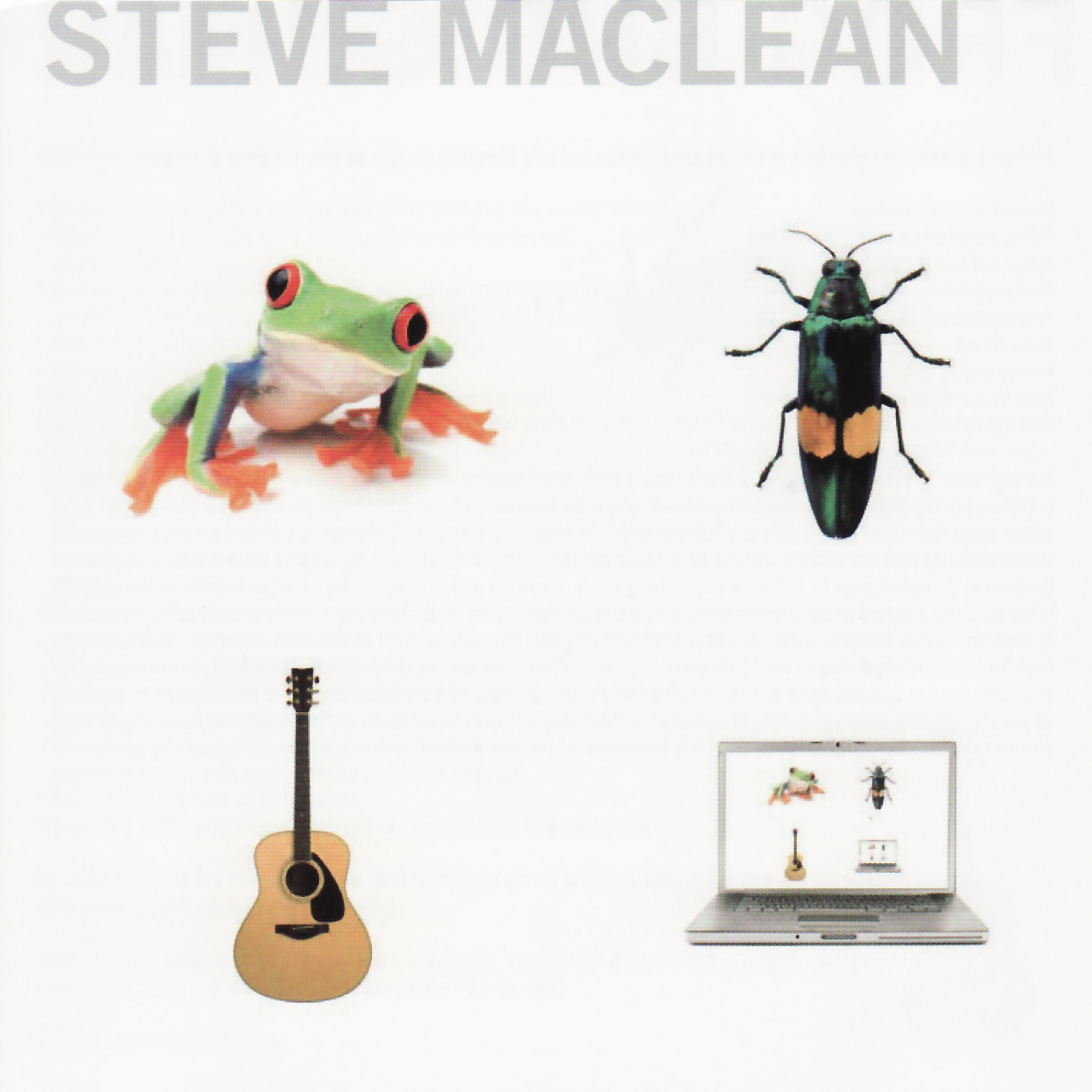 Релиз Frog Bug Guitar Computer