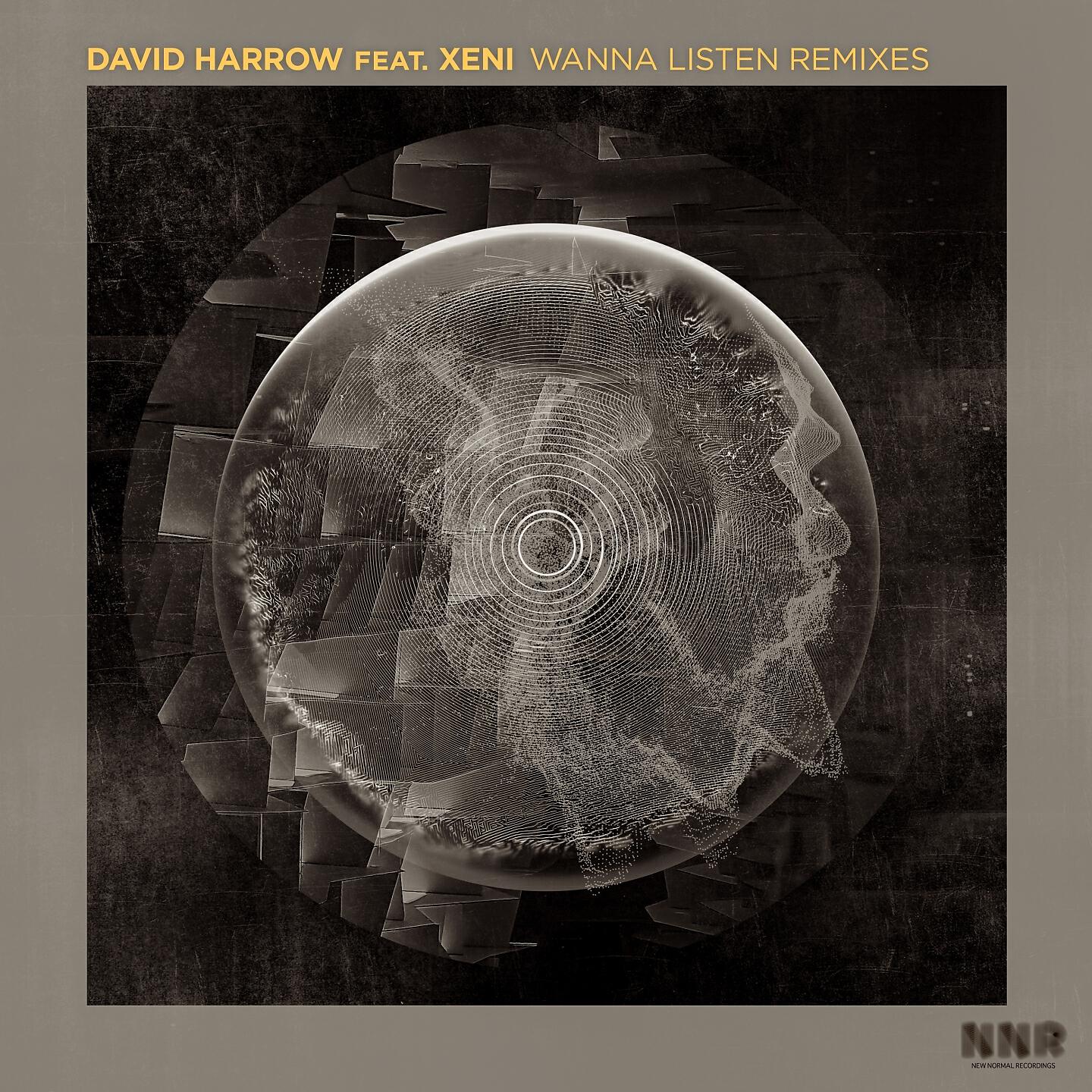 Релиз Wanna Listen Remixes