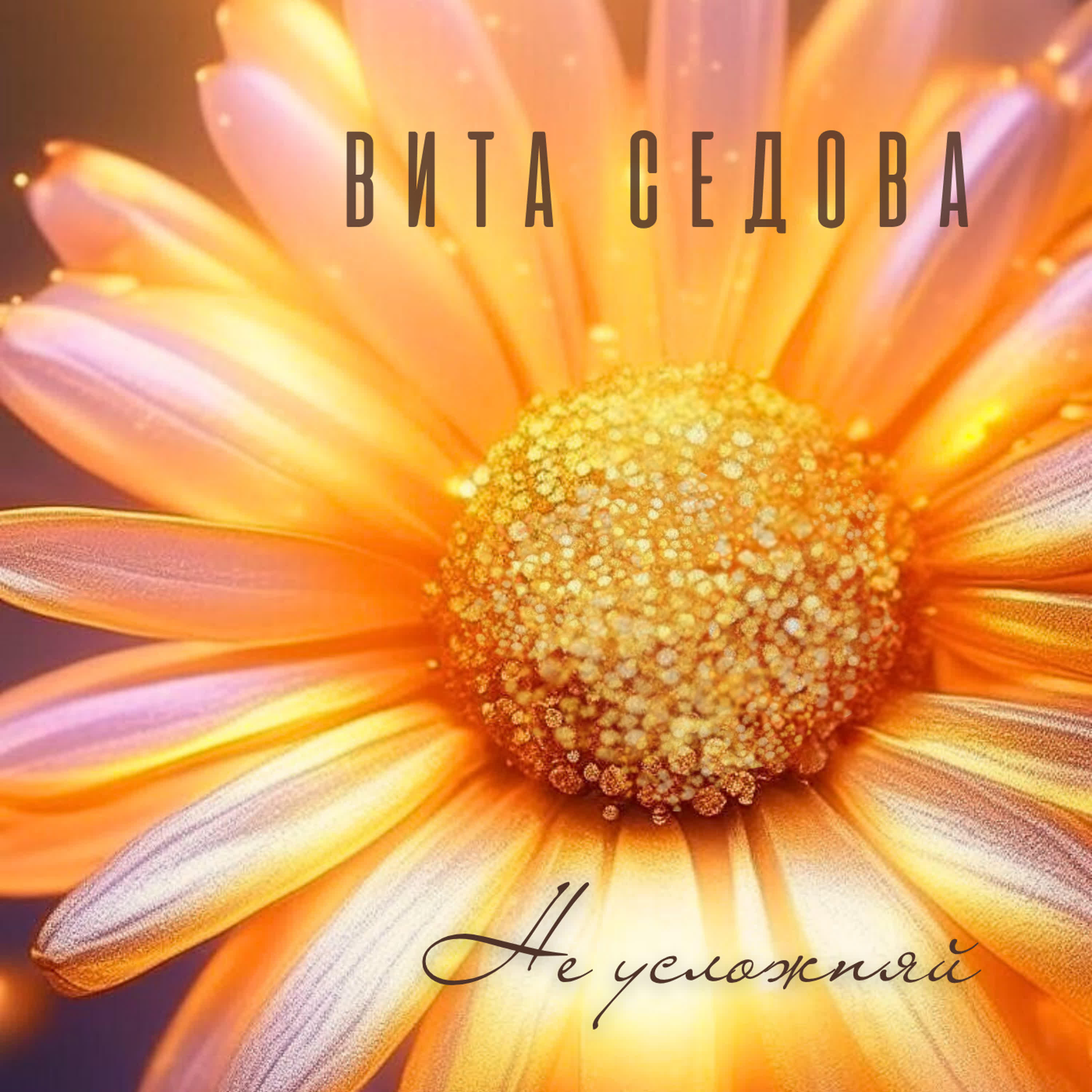 Вита  Седова
