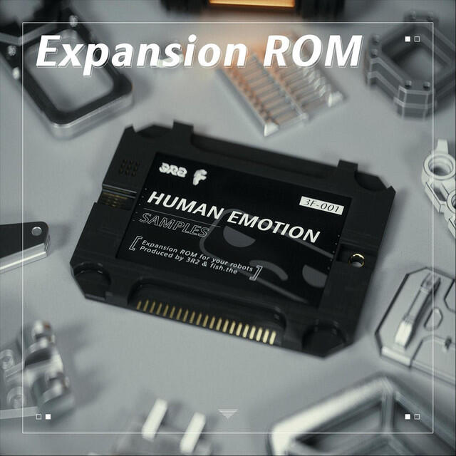 Релиз Expansion Rom