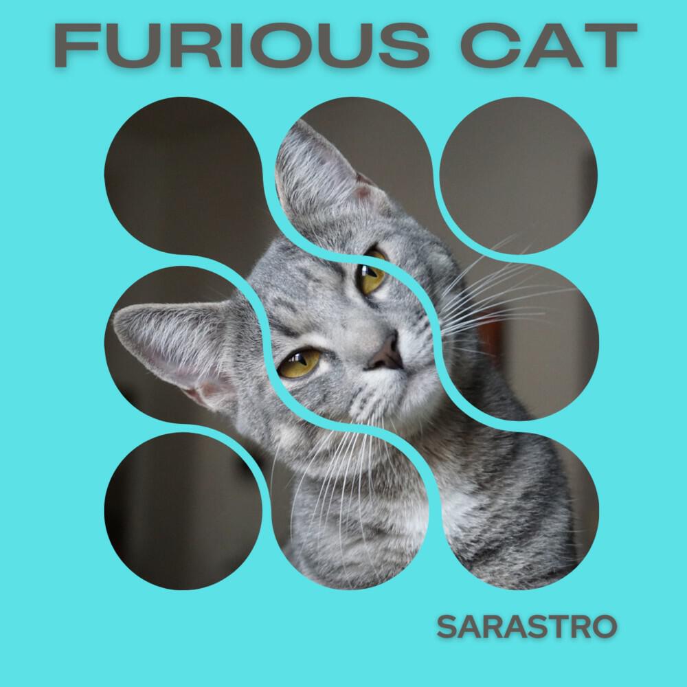 Релиз Furious Cat