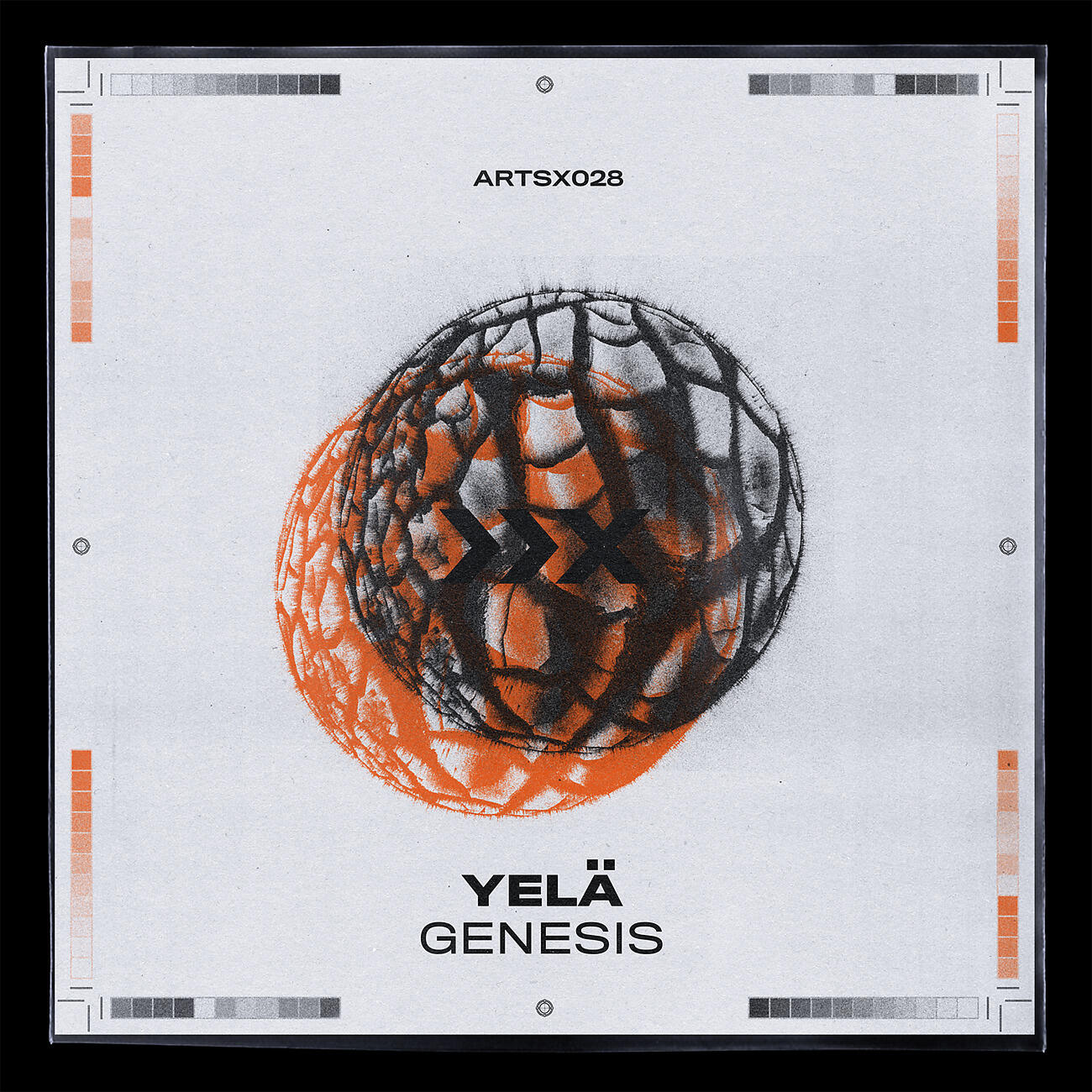 Релиз Genesis