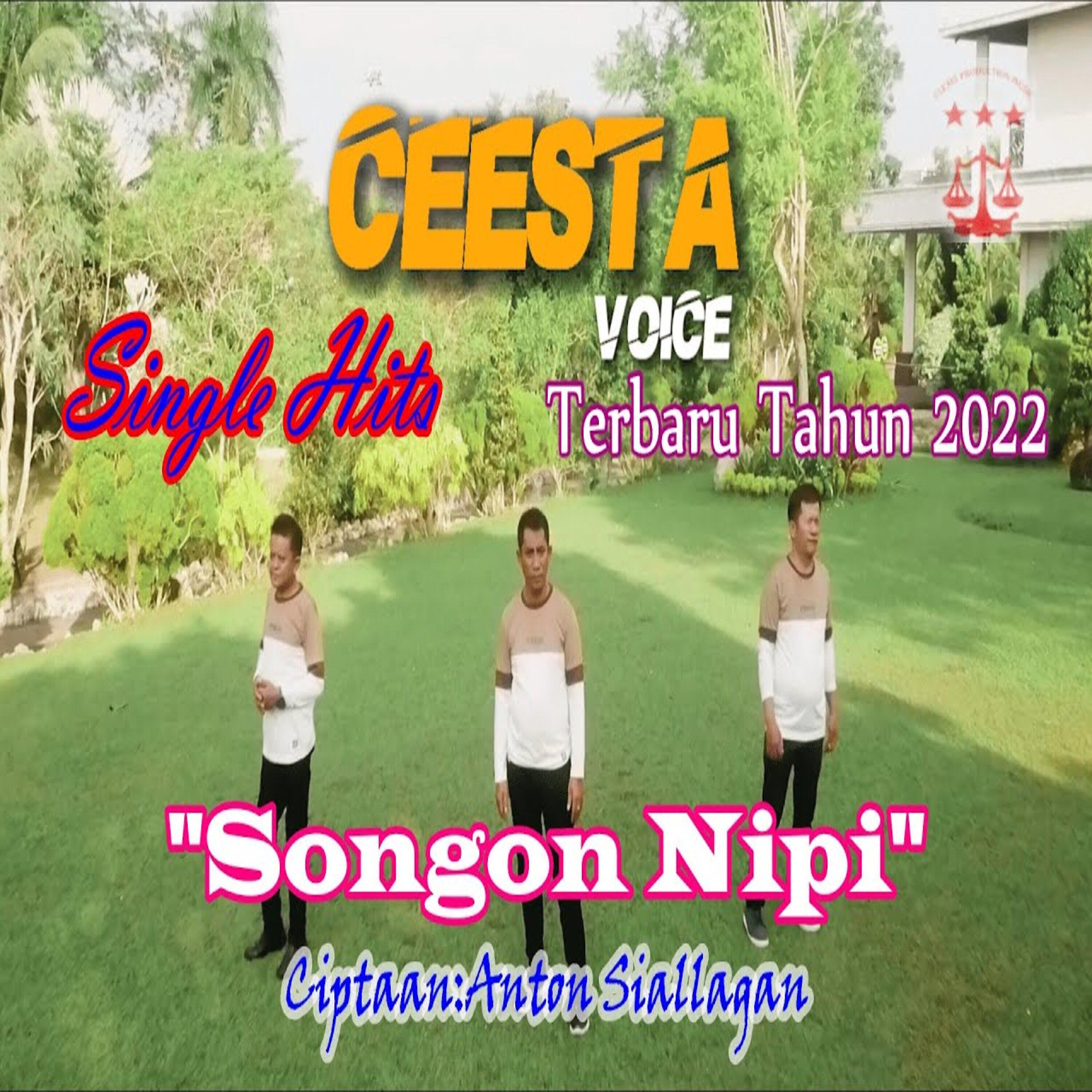 CEESTA VOICE