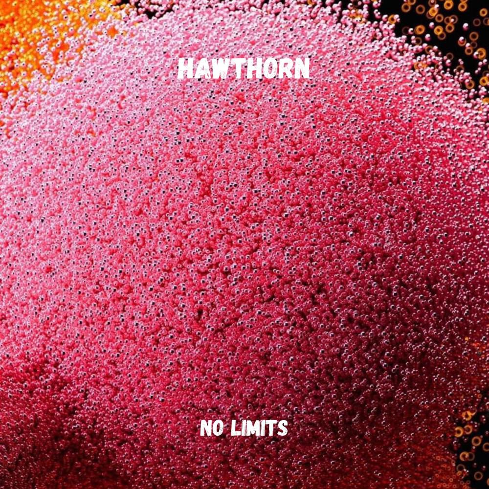 Релиз No Limits