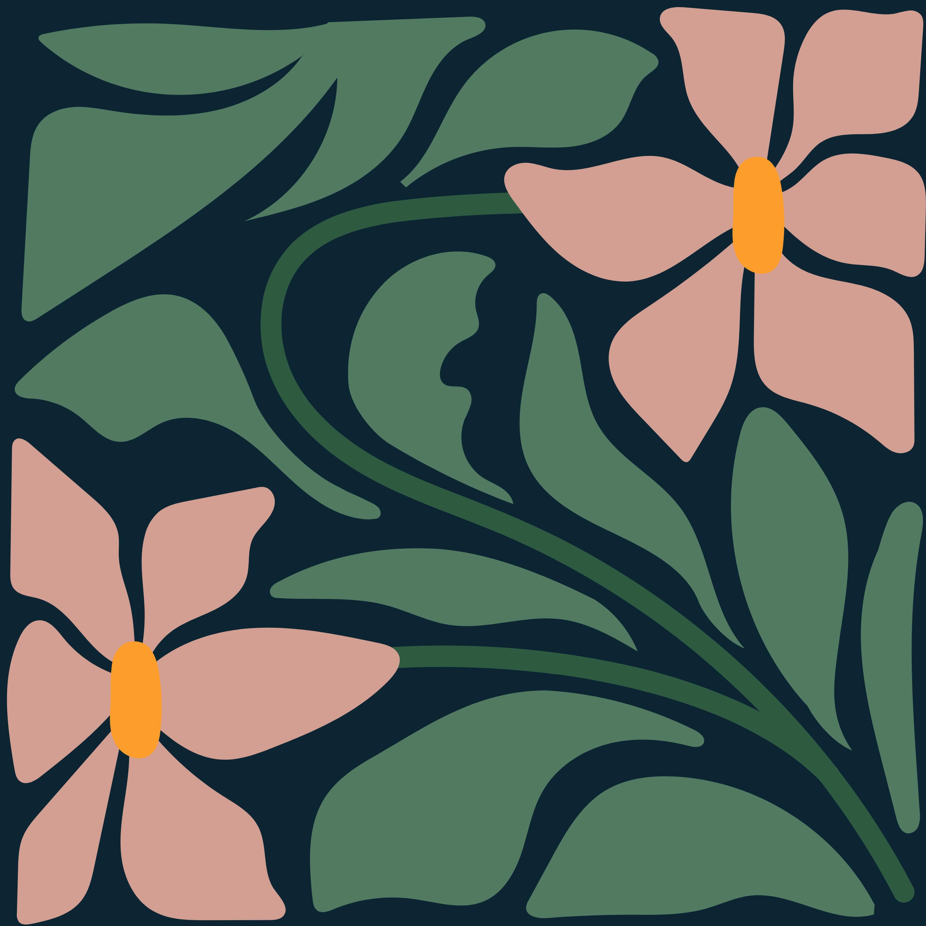Релиз allegra