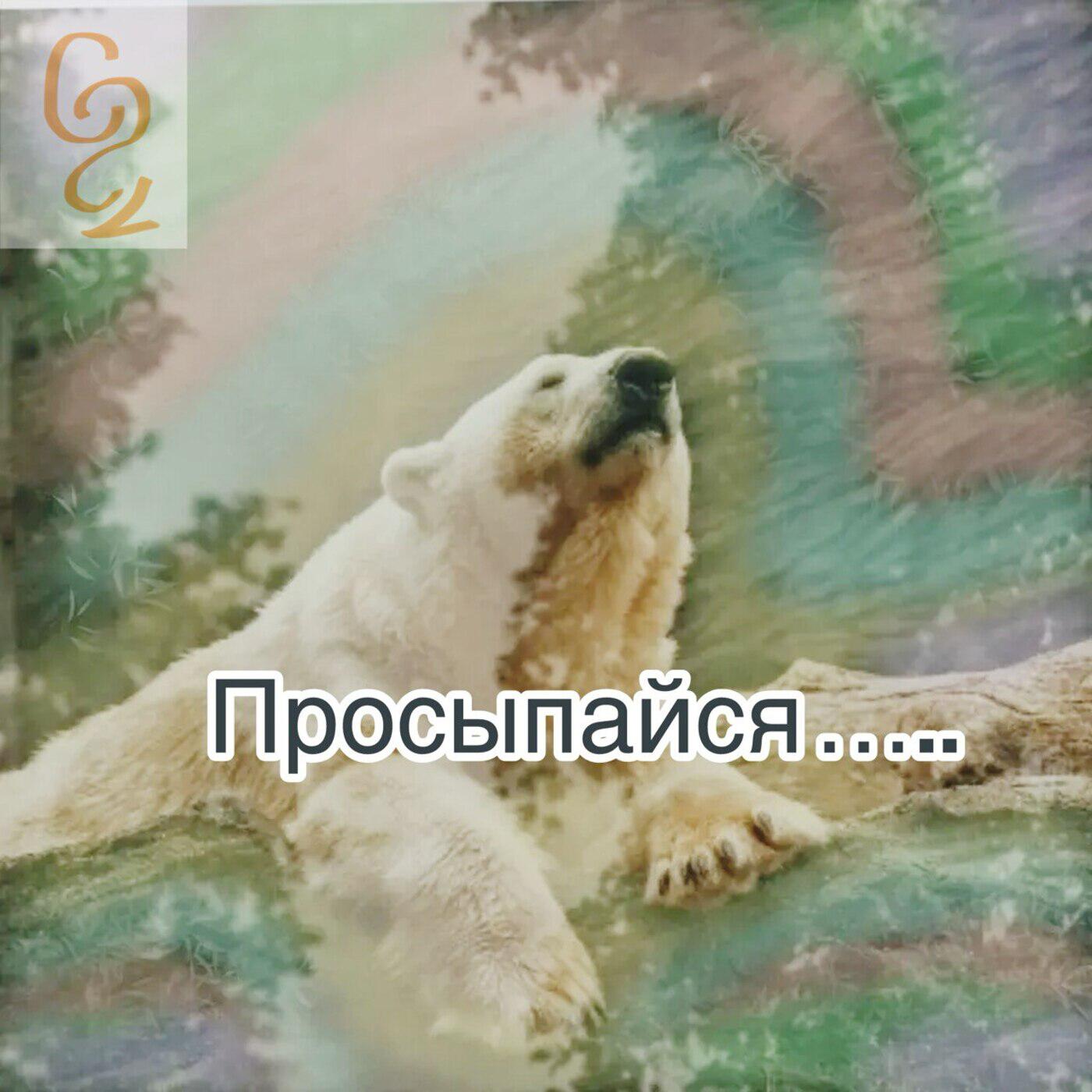 Релиз Просыпайся
