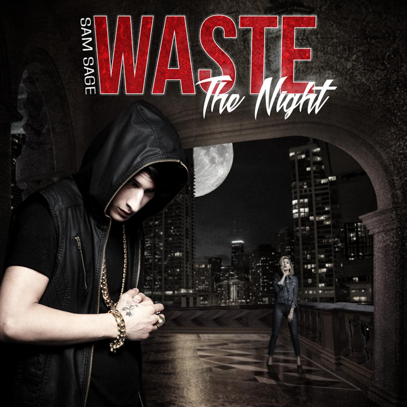 Релиз Waste the Night