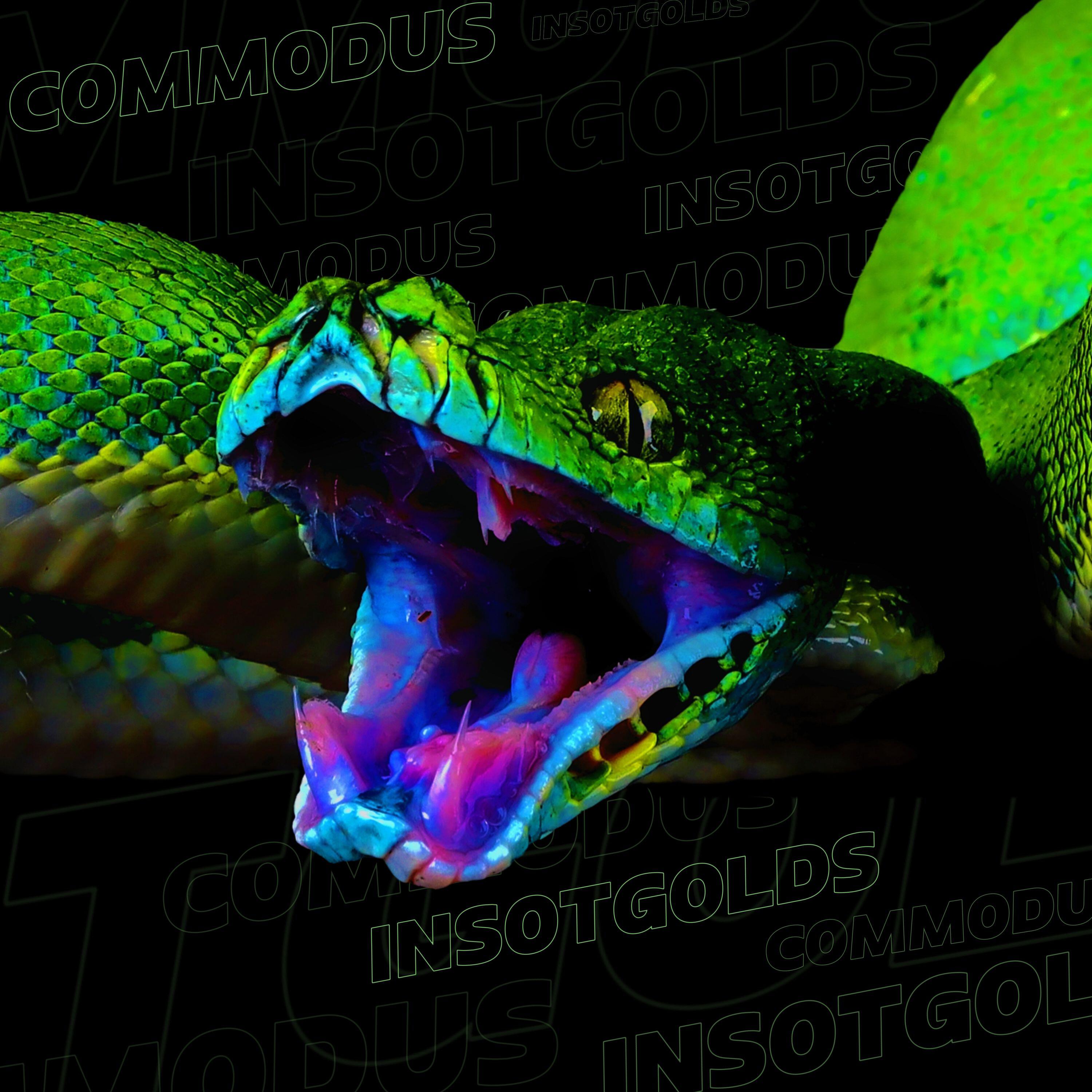 Релиз COMMODUS