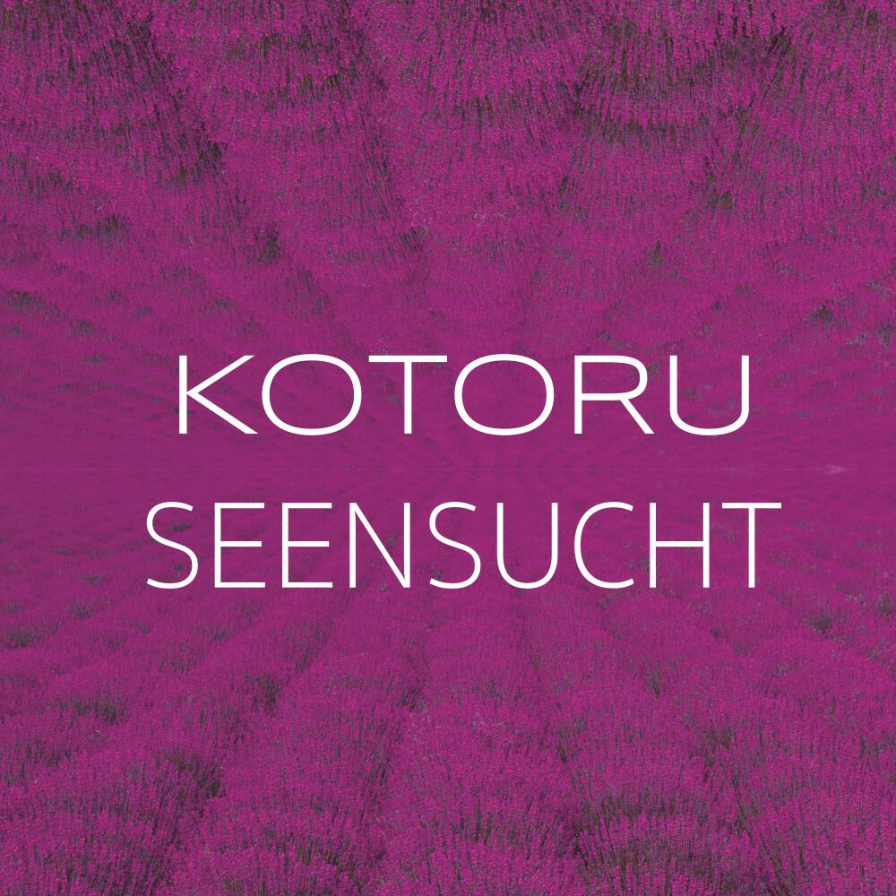 Релиз Seensucht
