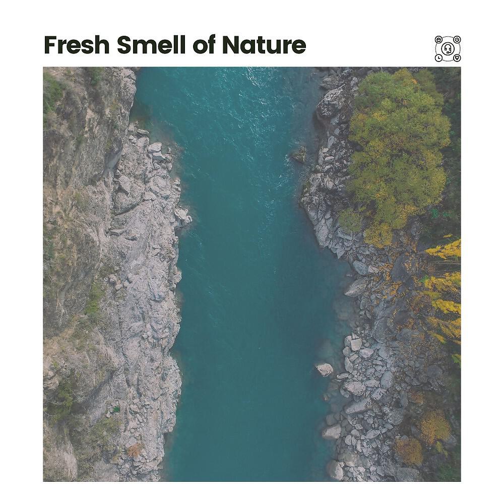 Релиз Fresh Smell of Nature