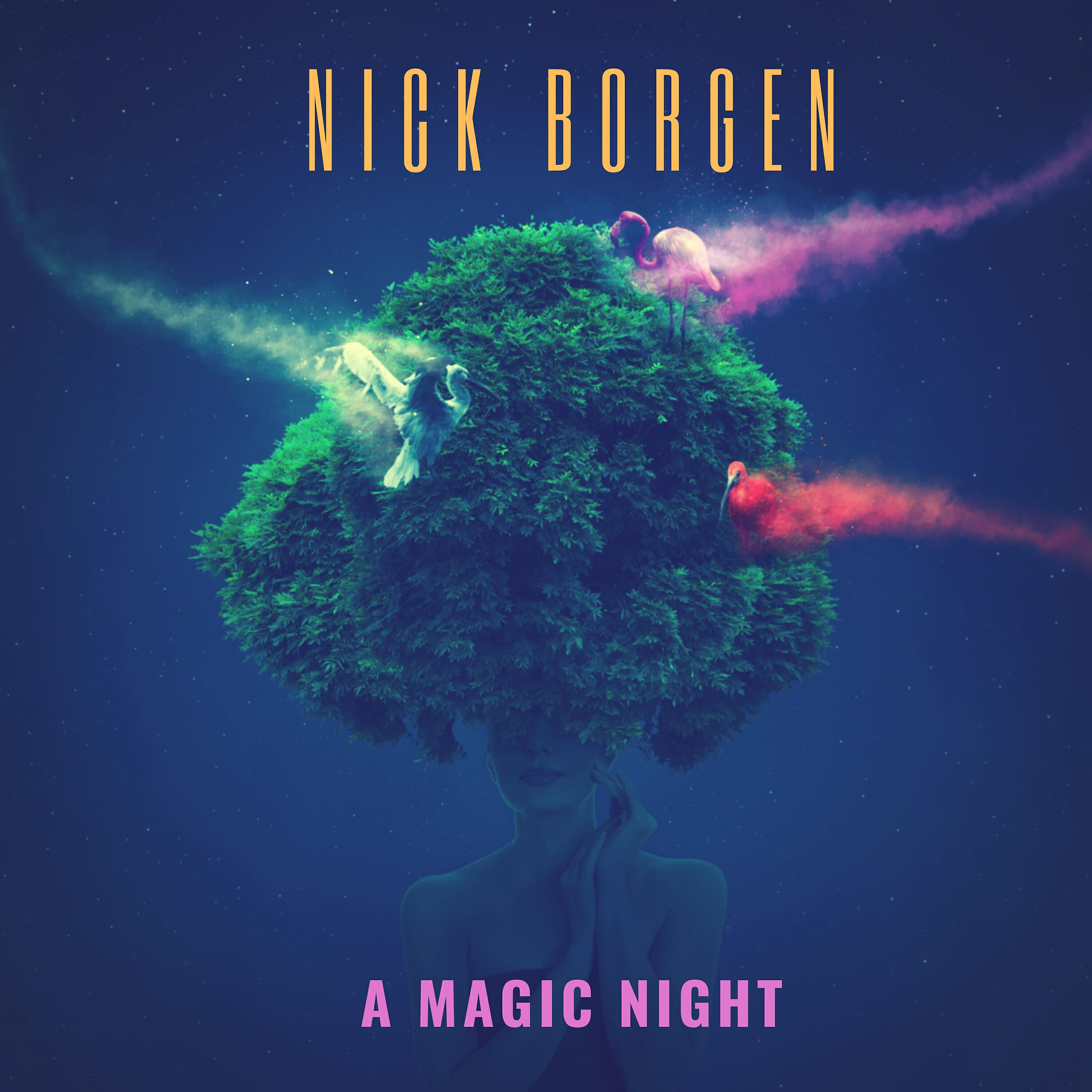 Релиз A Magic Night