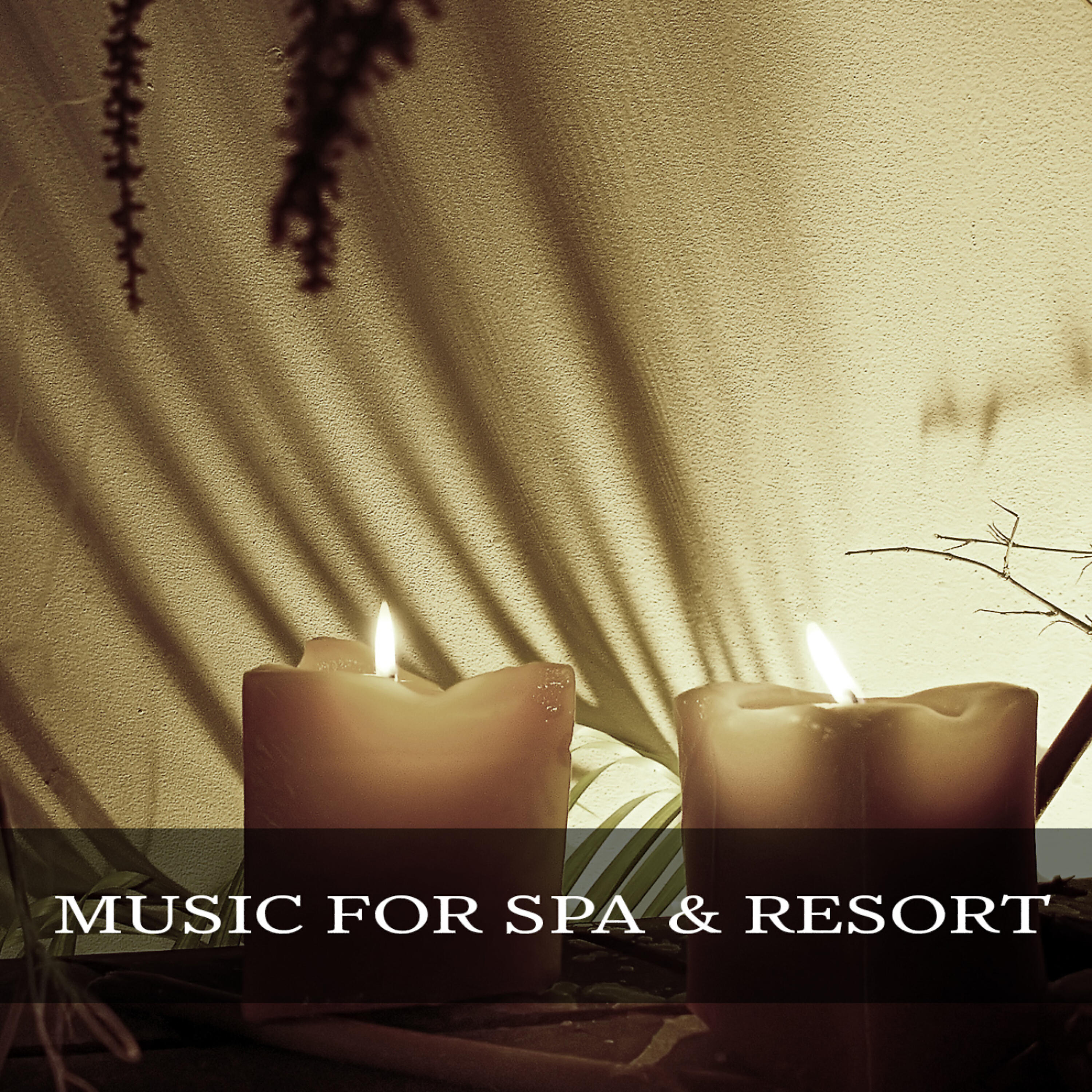 Релиз Music for Spa & Resort