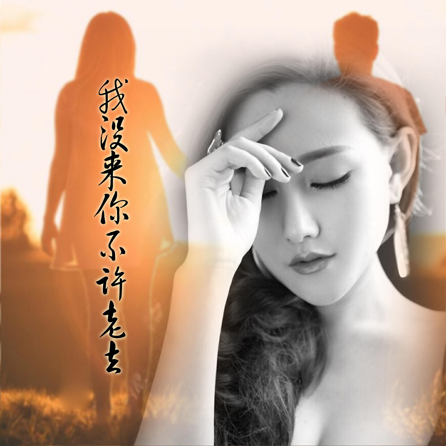 Релиз 我没来你不许老去