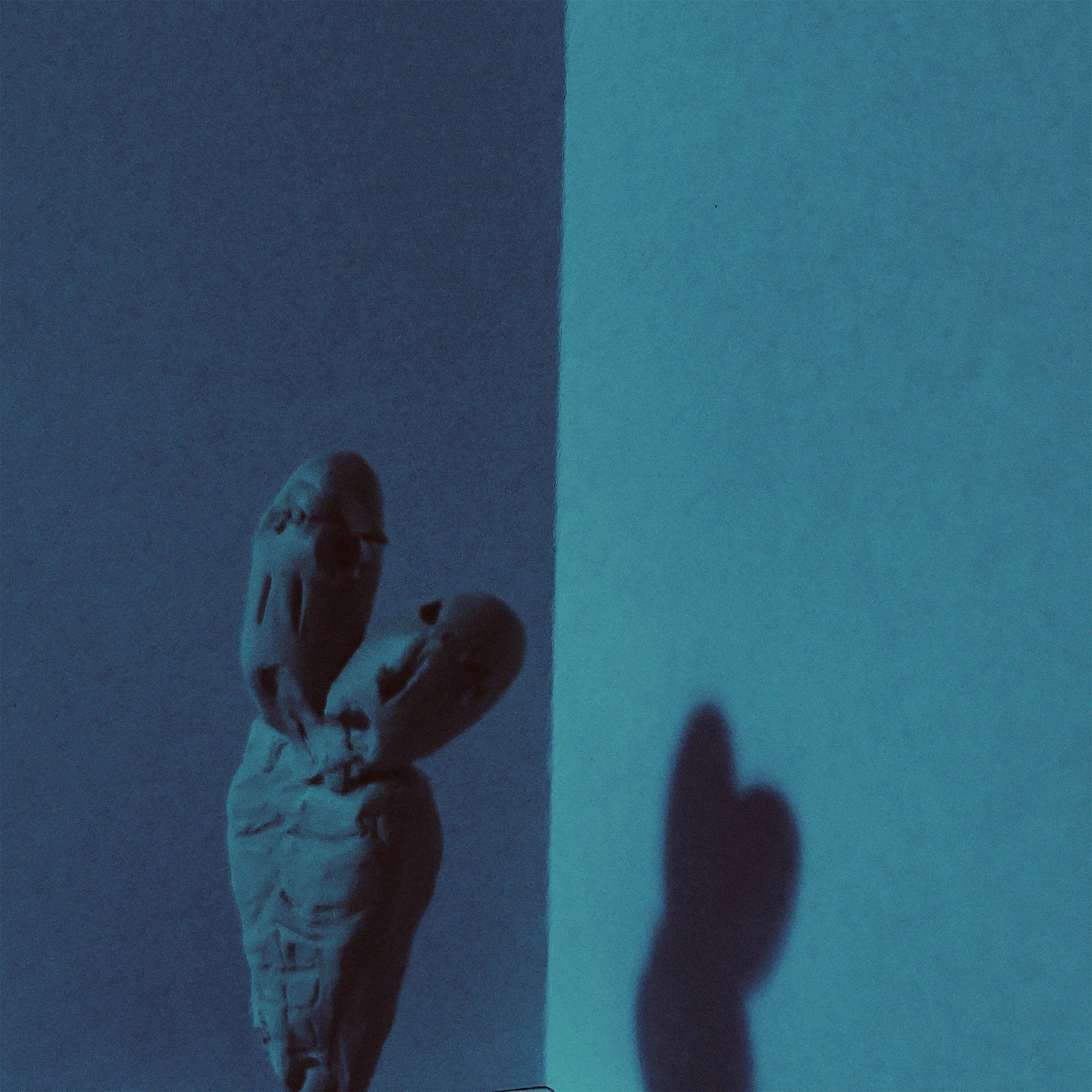 Релиз Asymmetry