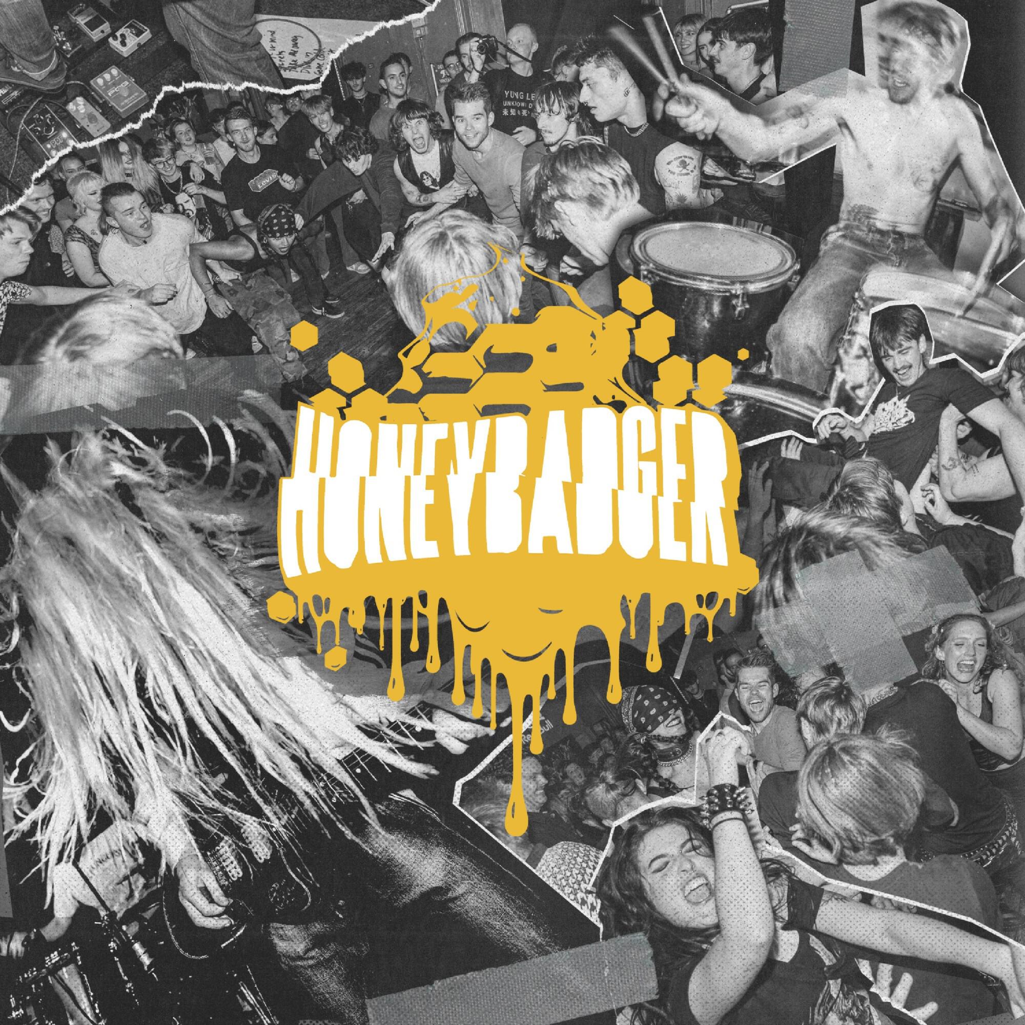 Релиз Honeybadger