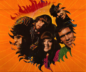 The Sunshine Company