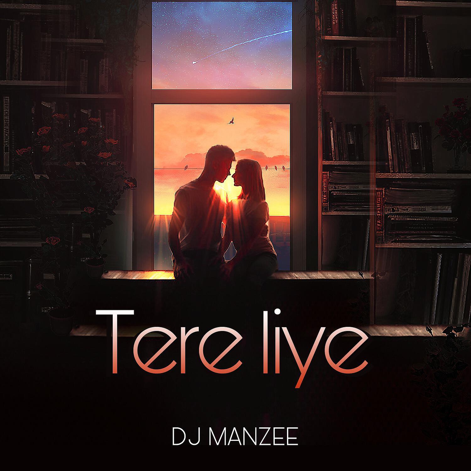 Релиз Tere Liye