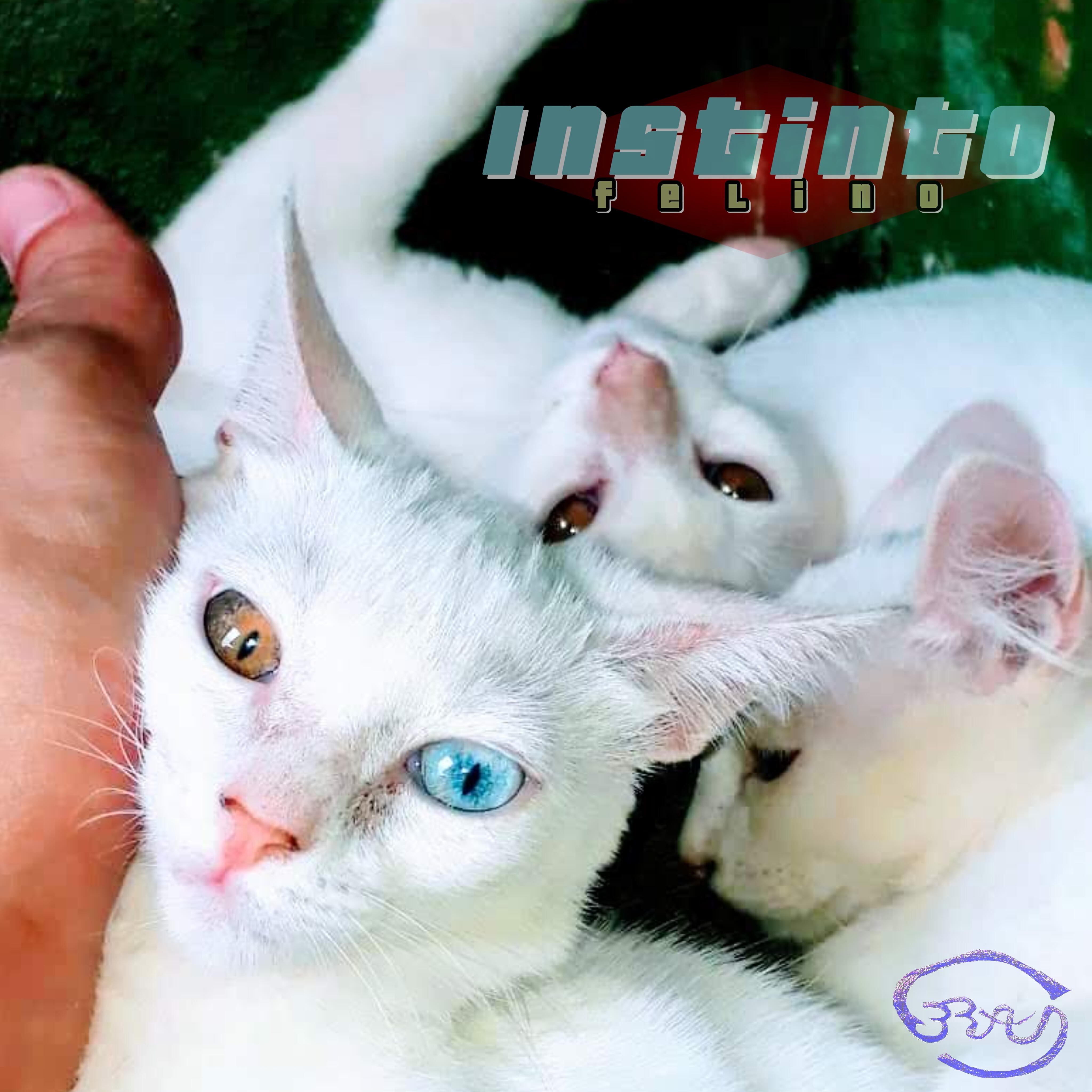 Релиз Instinto Felino