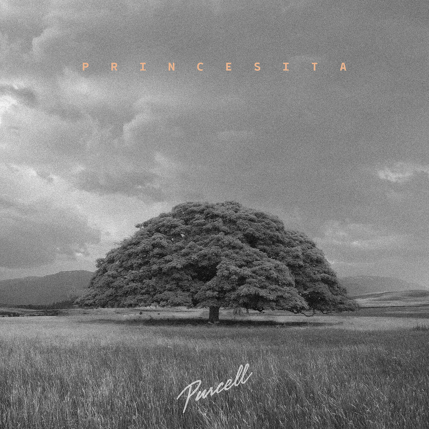 Релиз Princesita
