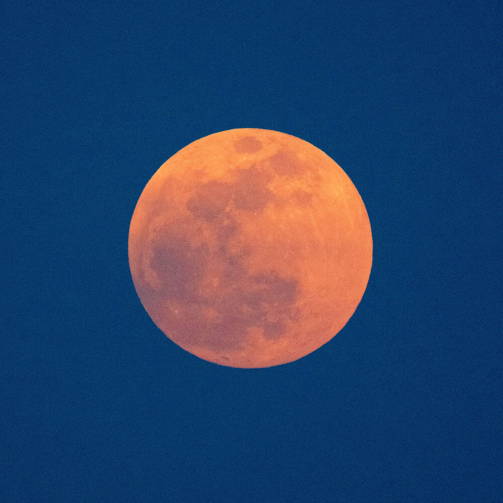 Релиз Red moon