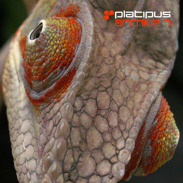 Релиз Platipus - Archive 7