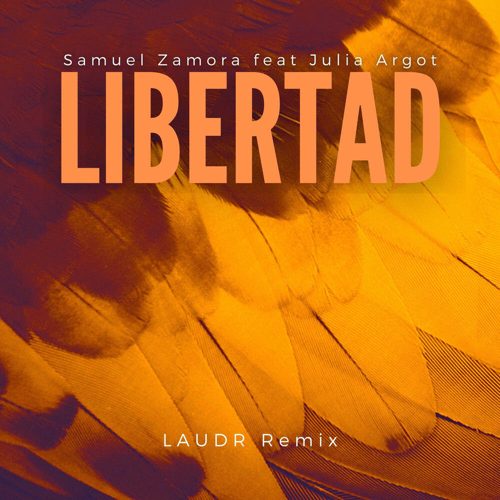 Релиз Libertad (LAUDR Remix)