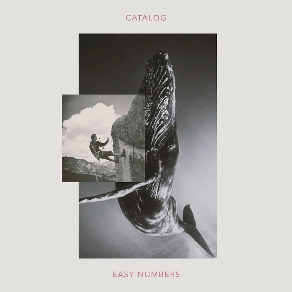 Catalog