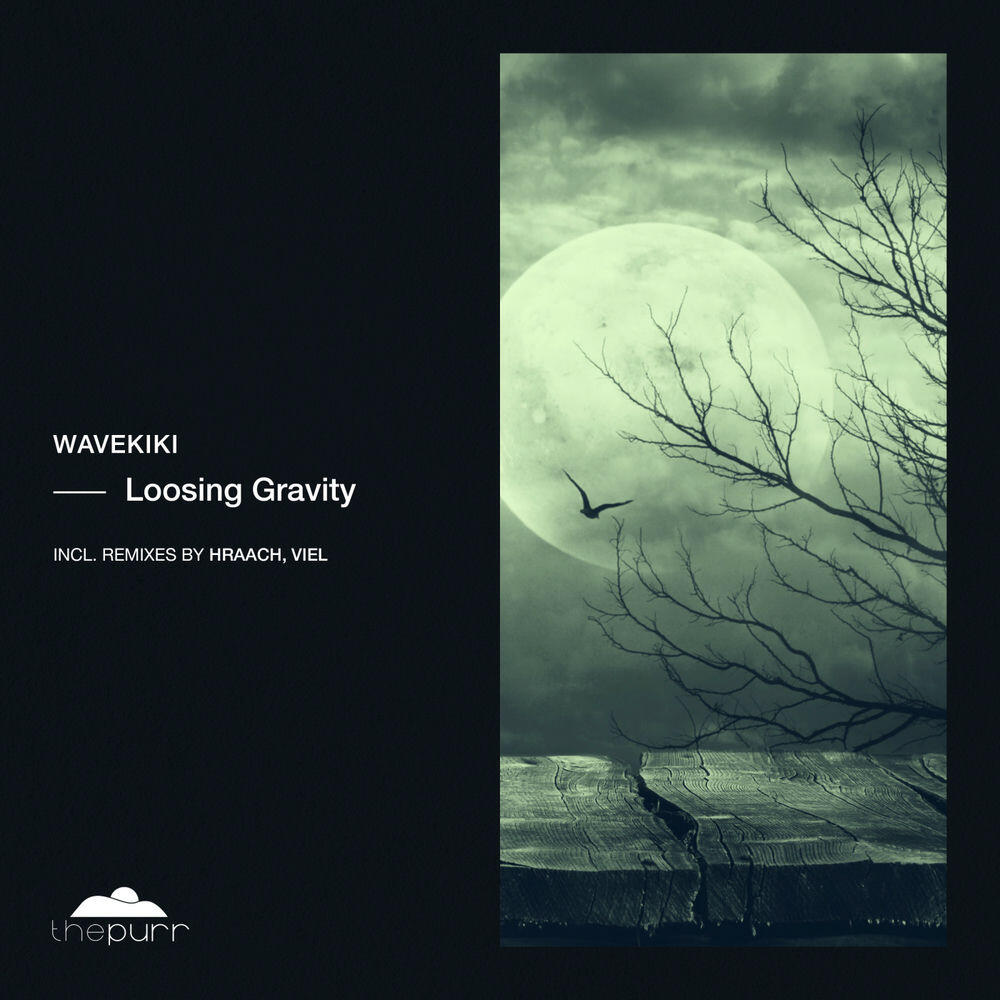 Релиз Loosing Gravity