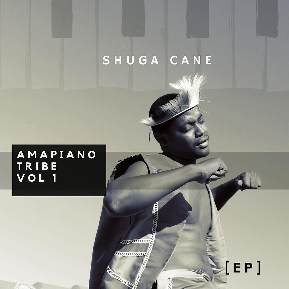 Релиз Amapiano Tribe, Vol. 1