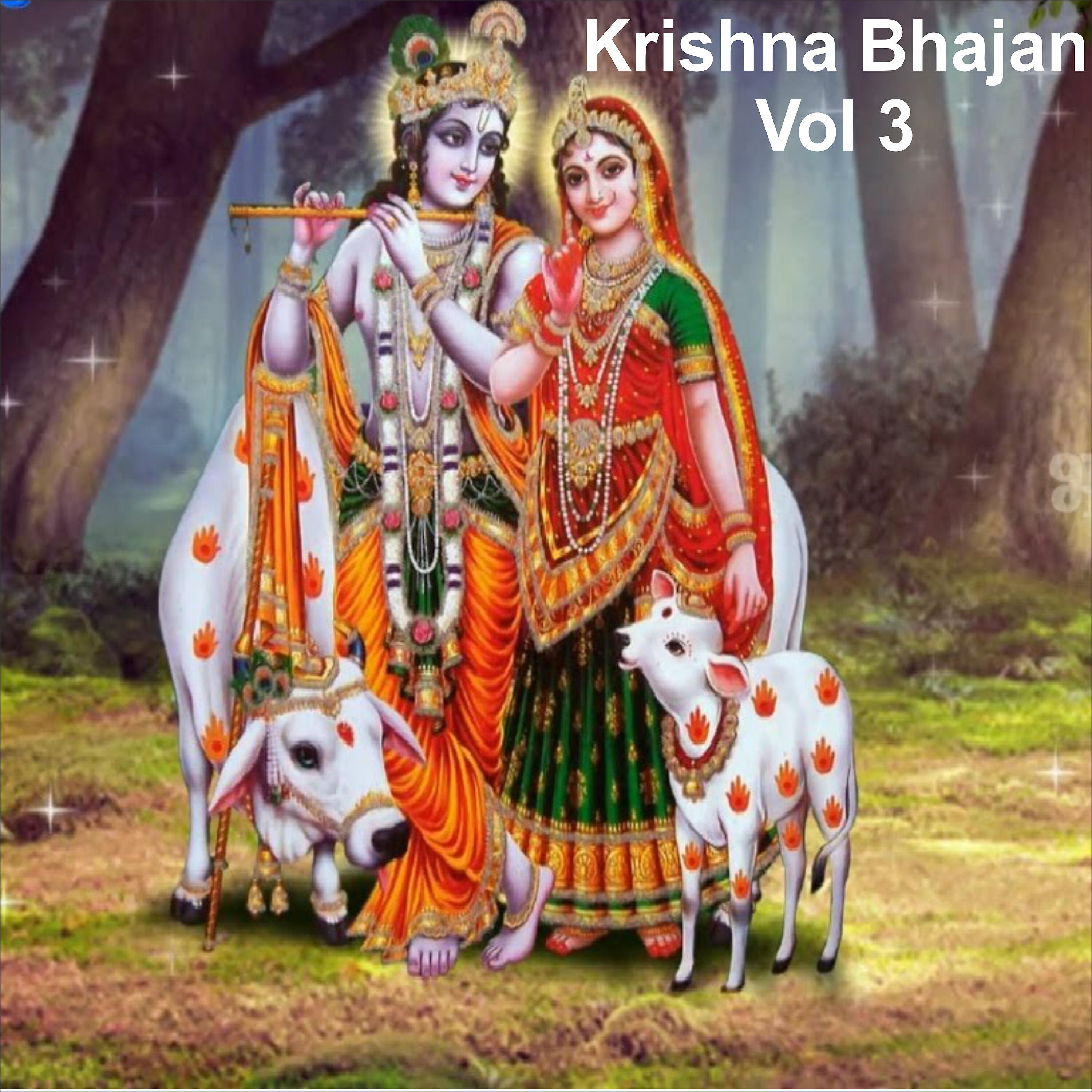 Jai Shankar Ji