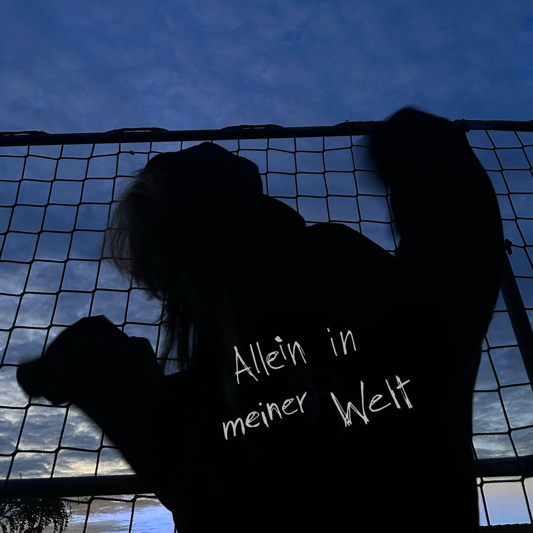Релиз allein in meiner Welt