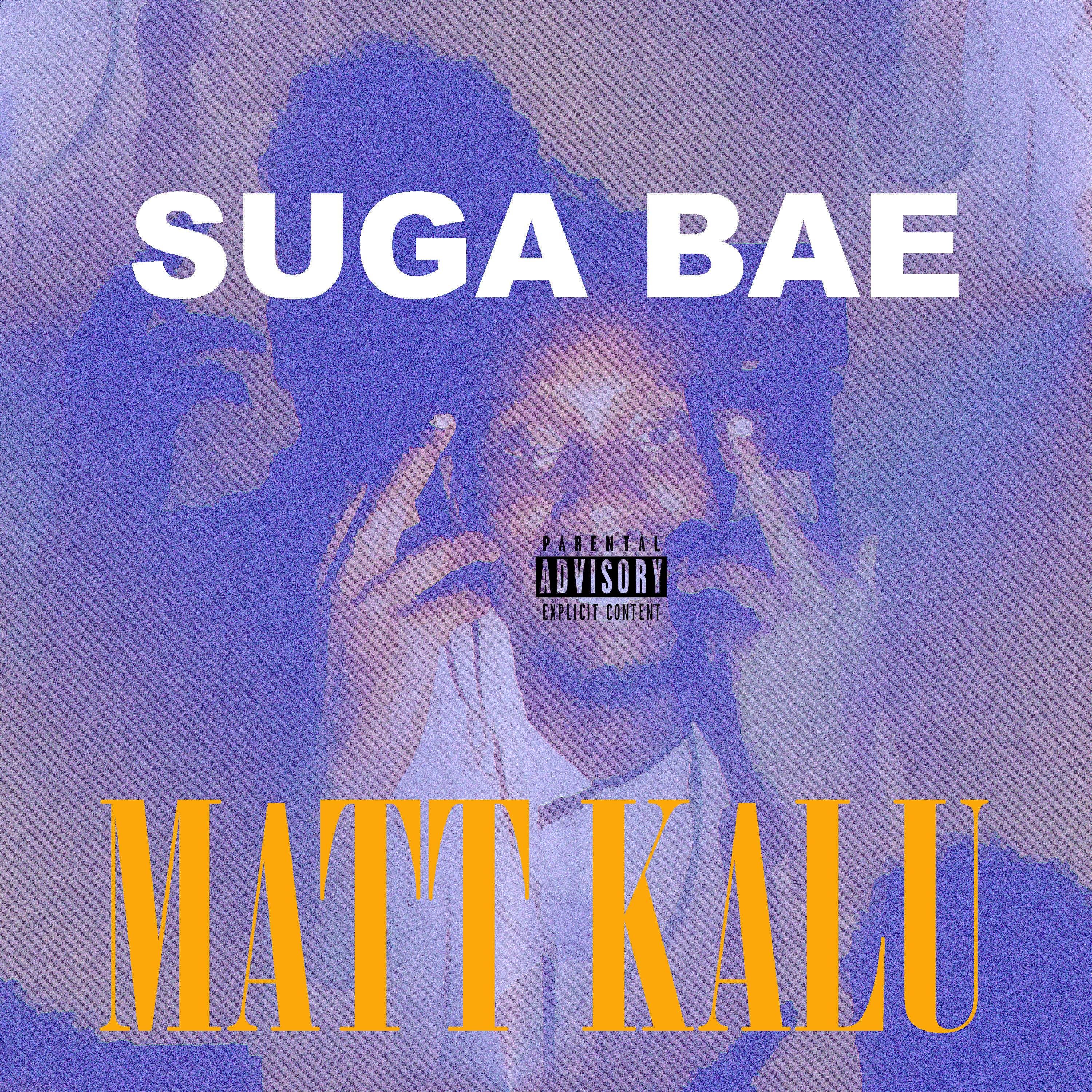 Релиз Suga Bae
