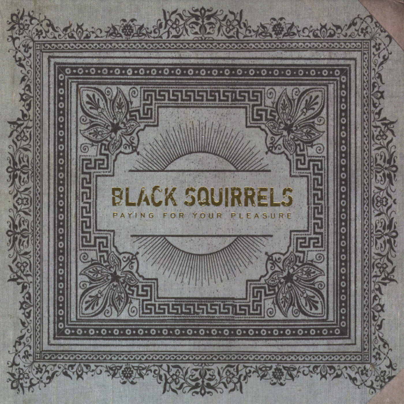 Black Squirrels