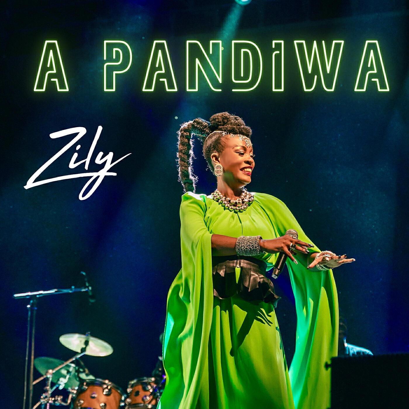Zily