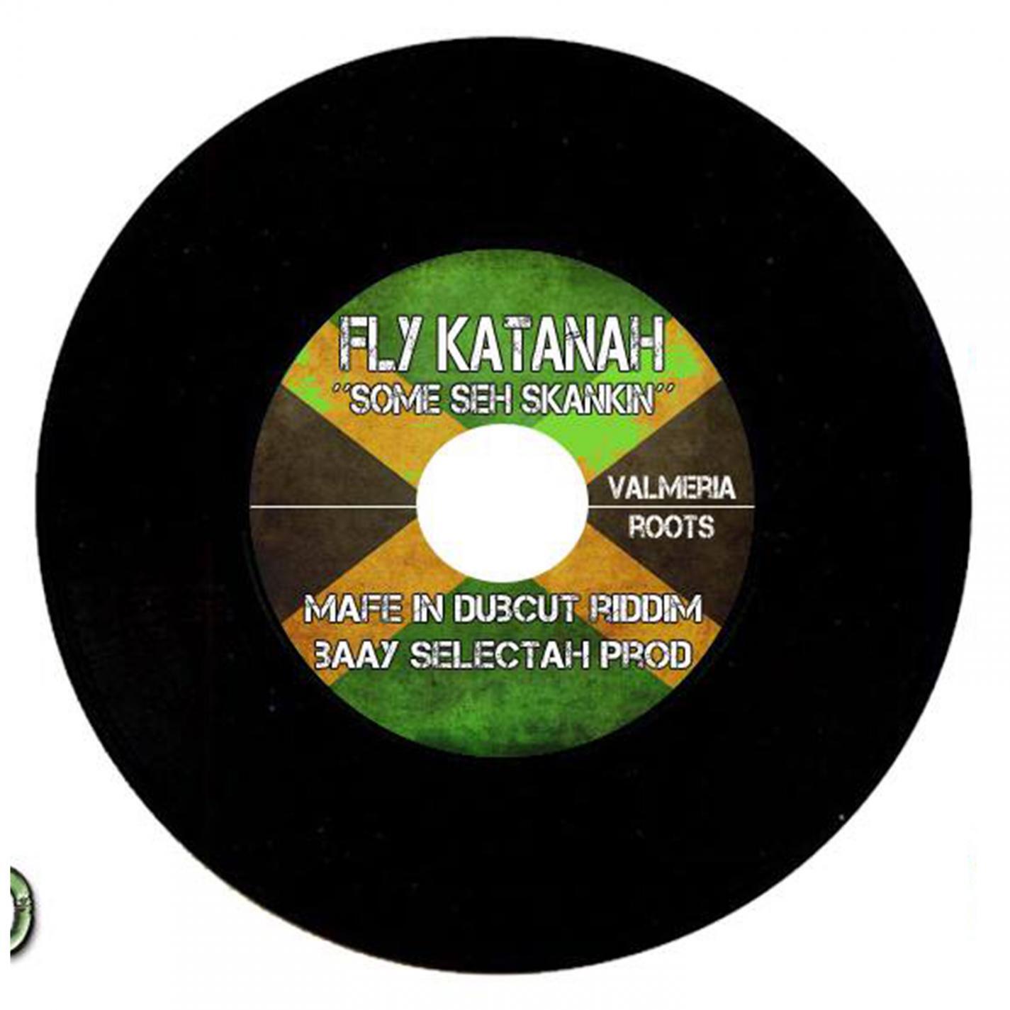 Релиз Some seh skankin