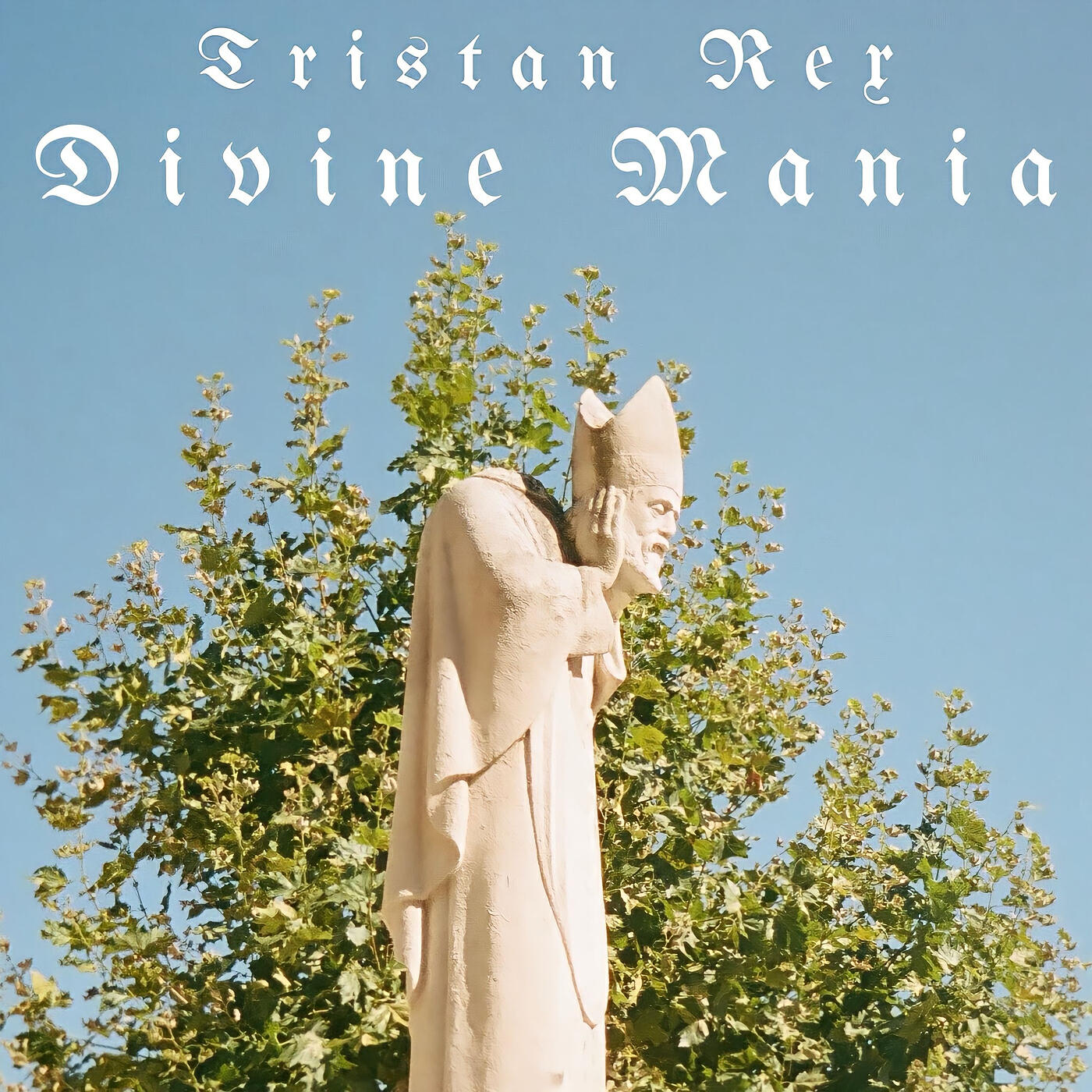 Tristan Rex
