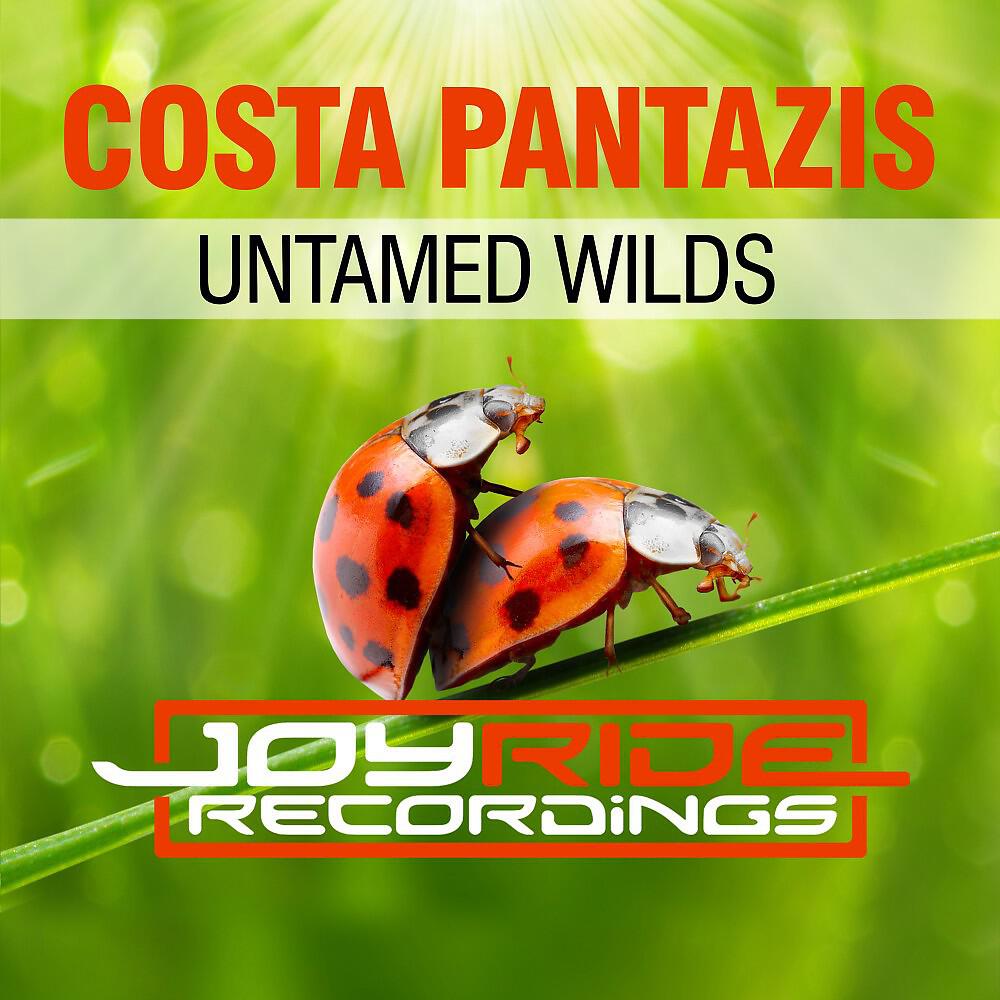 Релиз Untamed Wilds