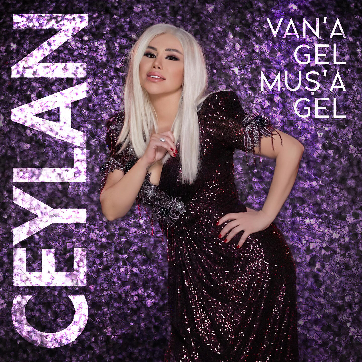Релиз Van'a Gel Muş'a Gel