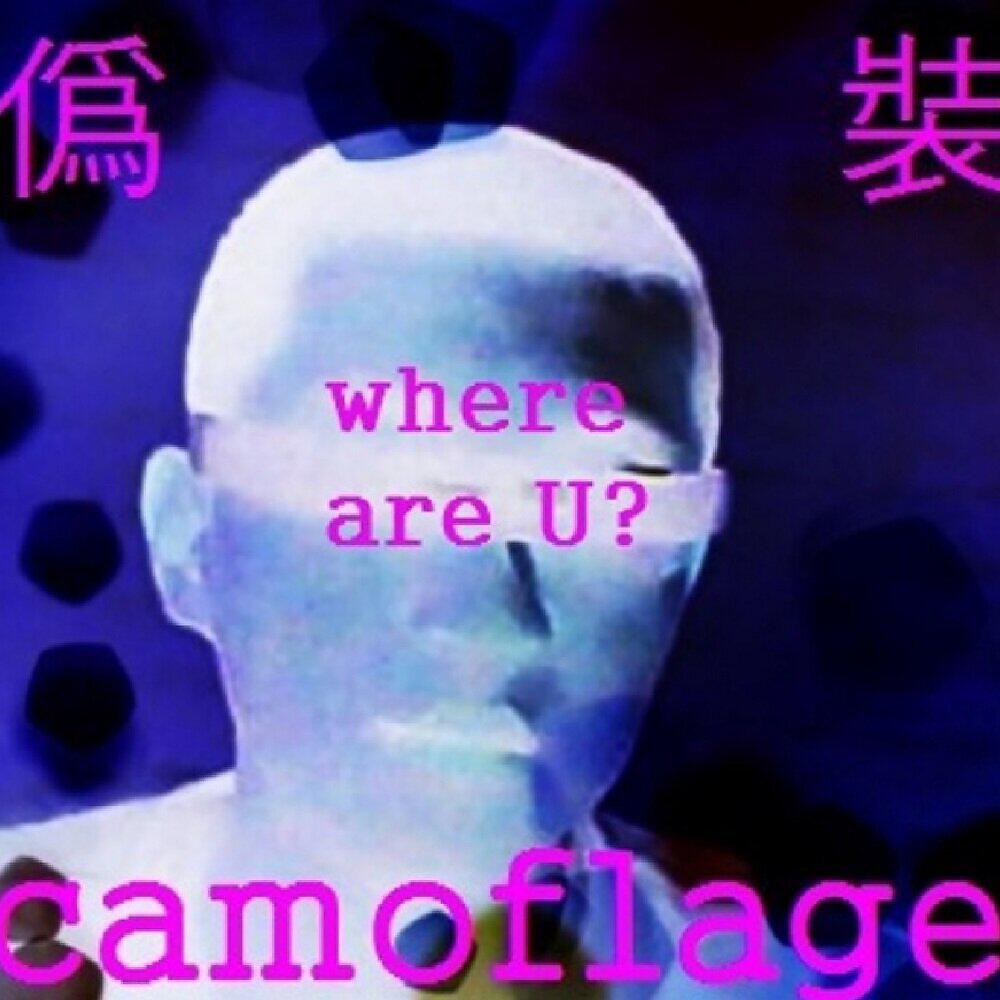 Релиз Camouflage