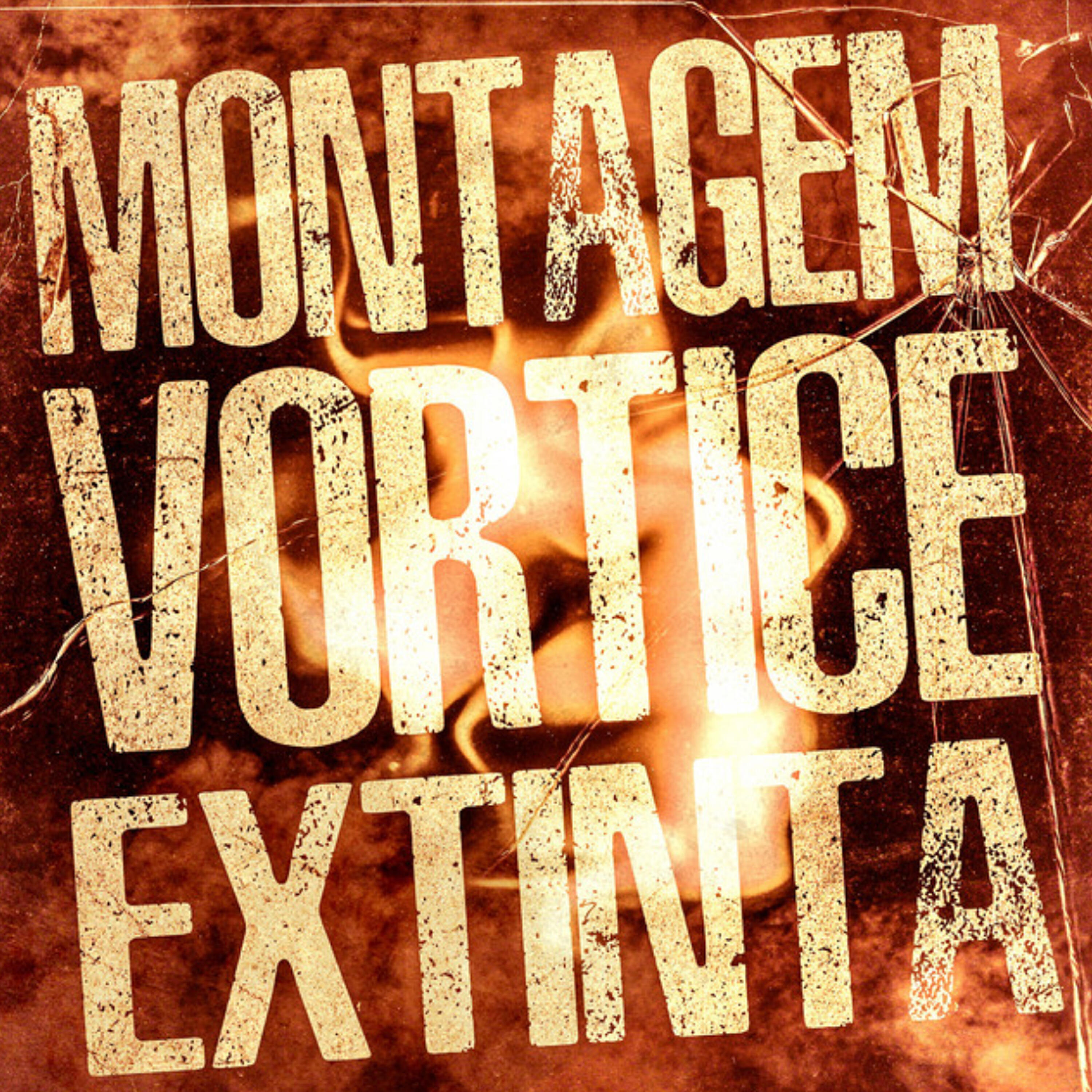 Постер альбома Montagem Vórtice Extinta