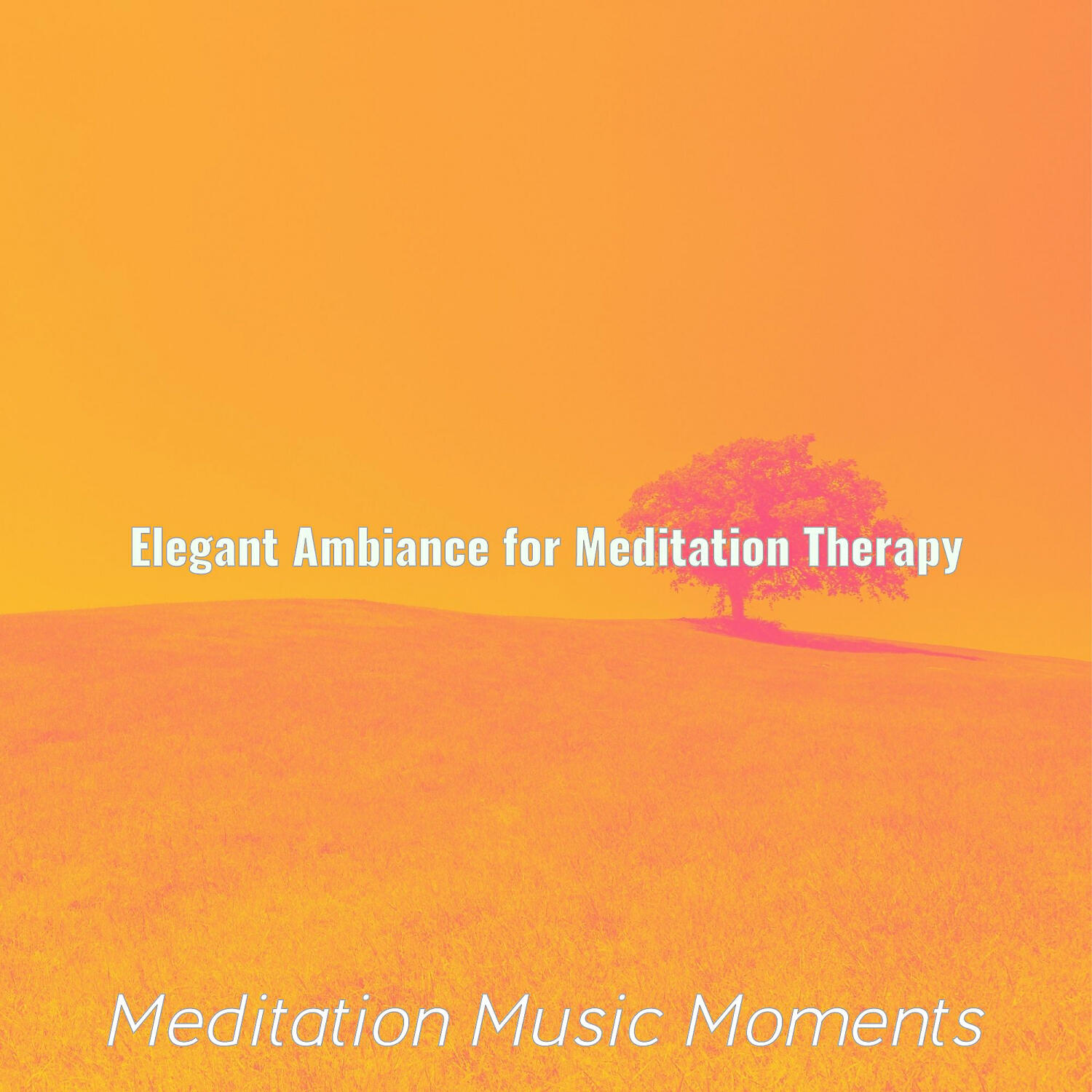 Релиз Elegant Ambiance for Meditation Therapy