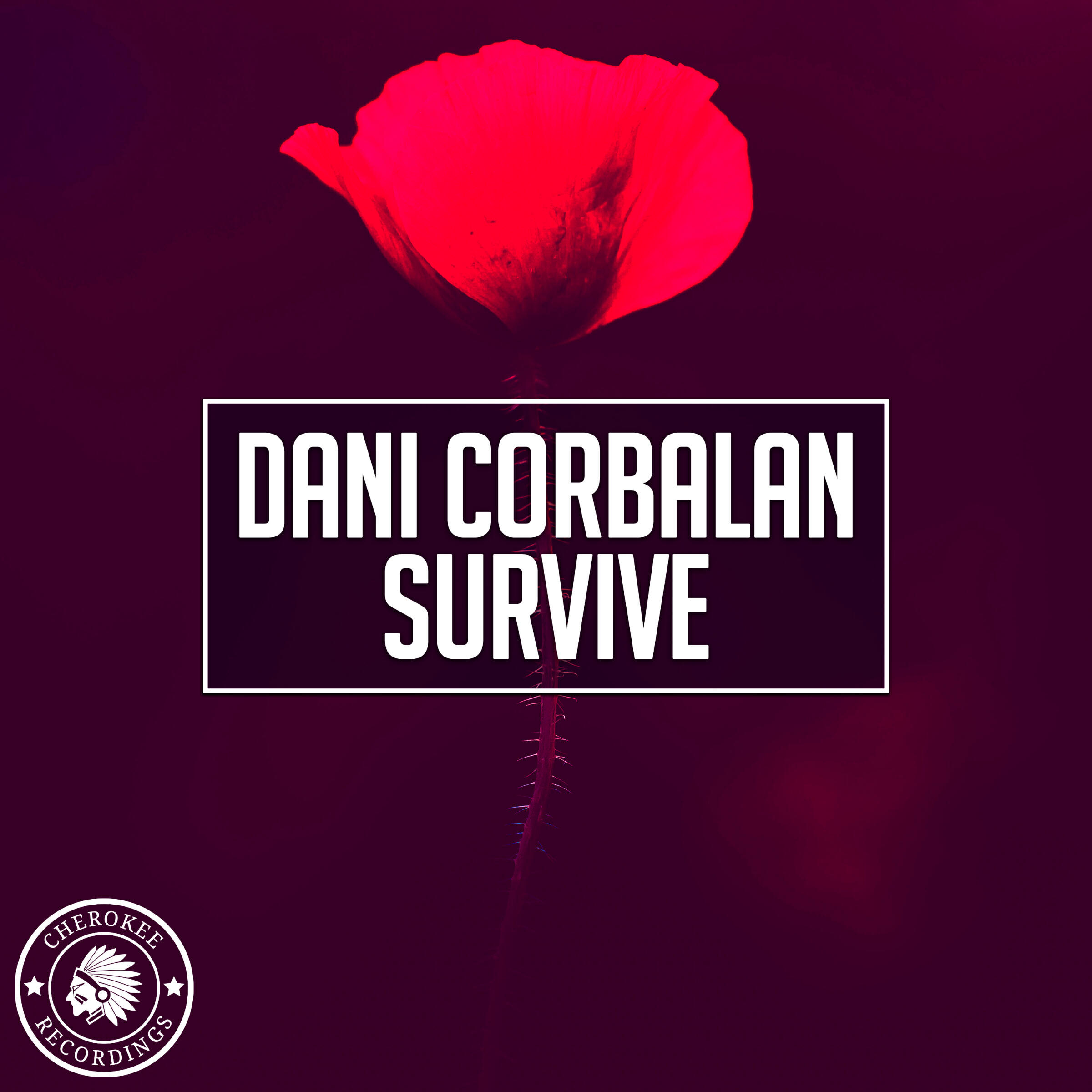 Релиз Survive
