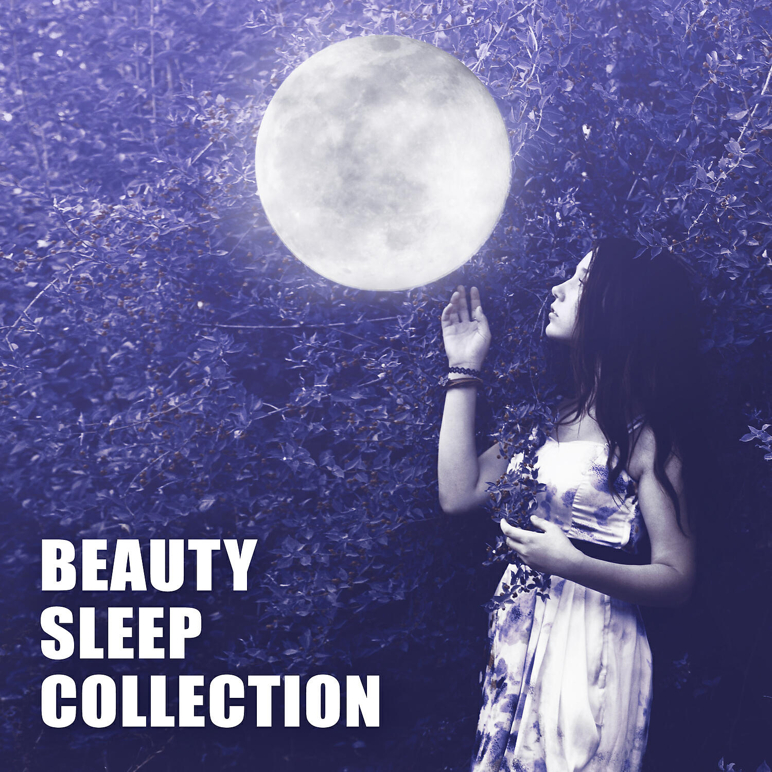 Постер альбома Beauty Sleep Collection - Sleep Sounds for Deep Sleep, Light Relaxing Music, Sleep Well