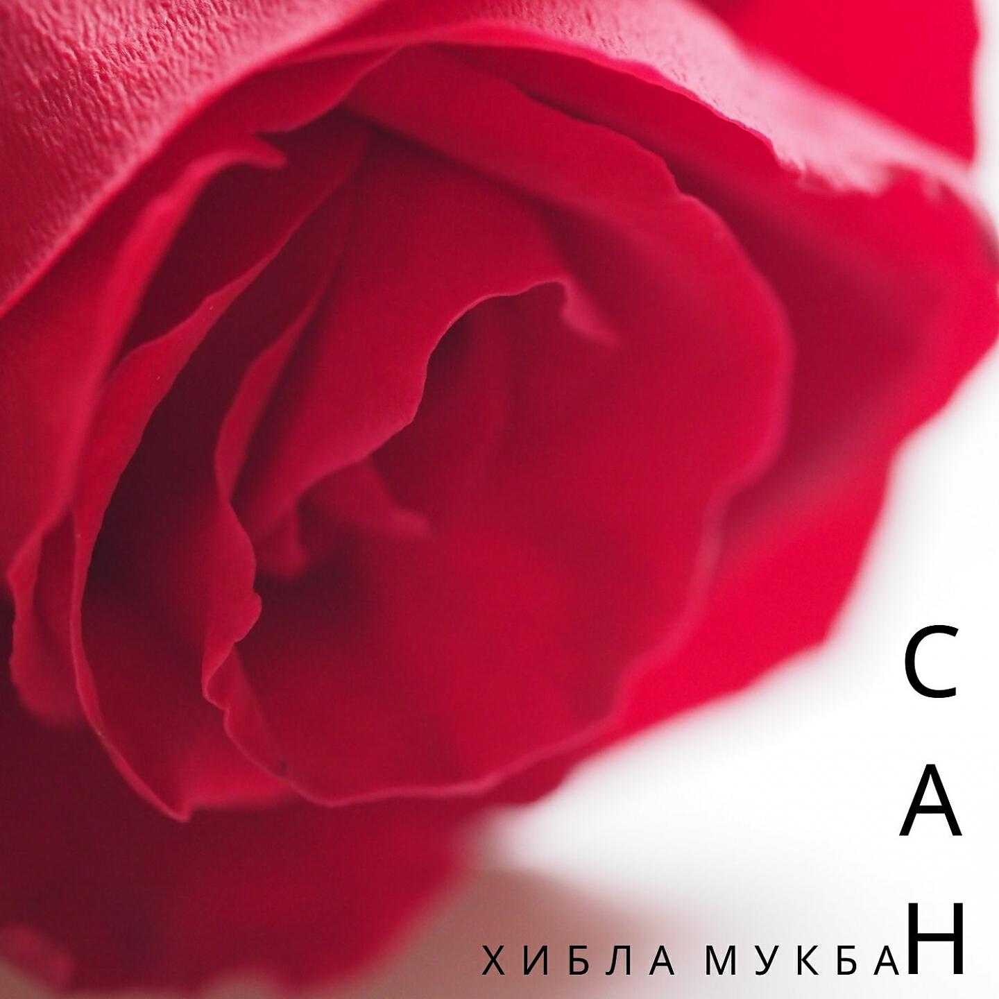 Релиз Сан